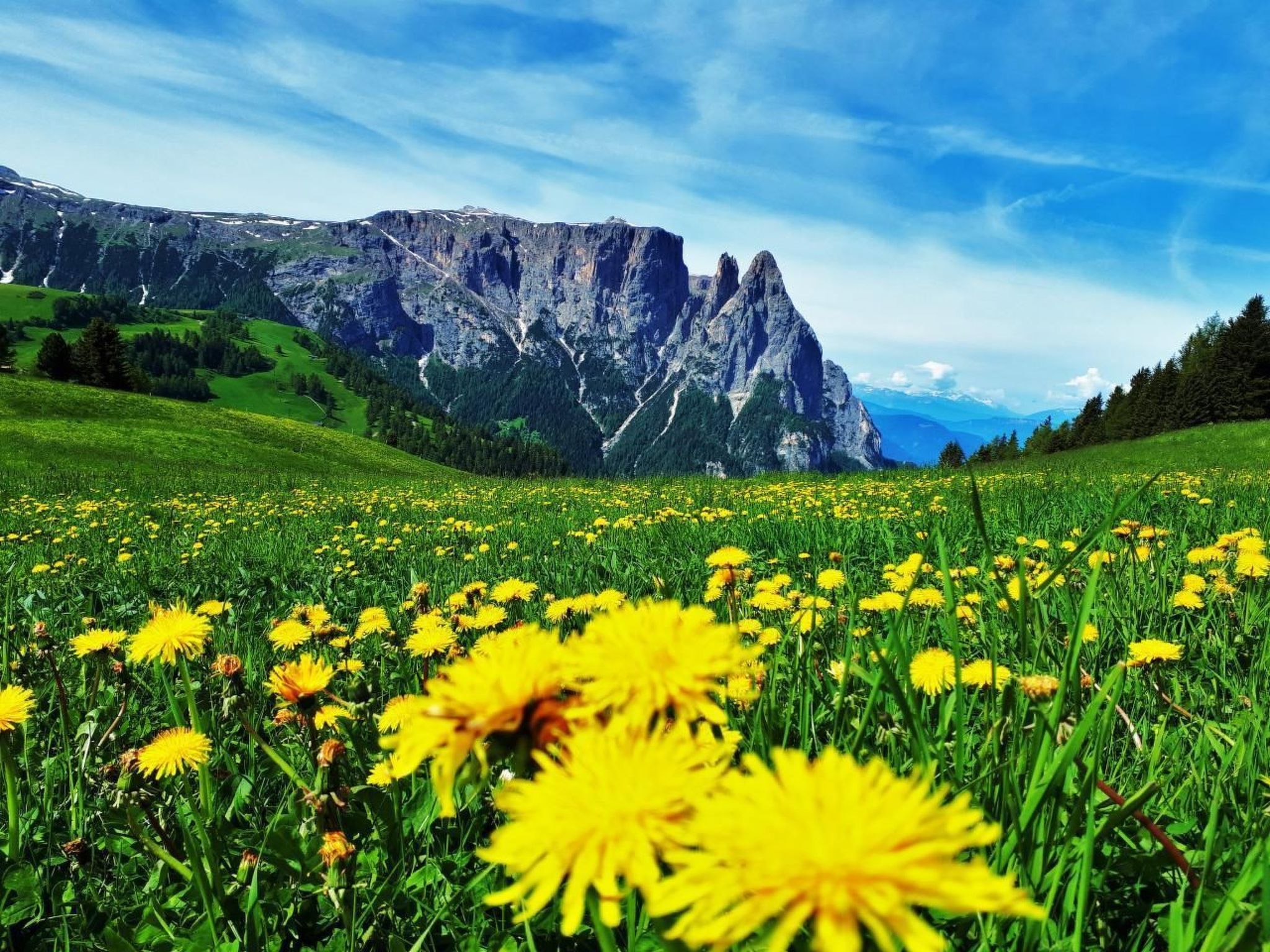 Cesa Vedla DOLOMITES-Binnen