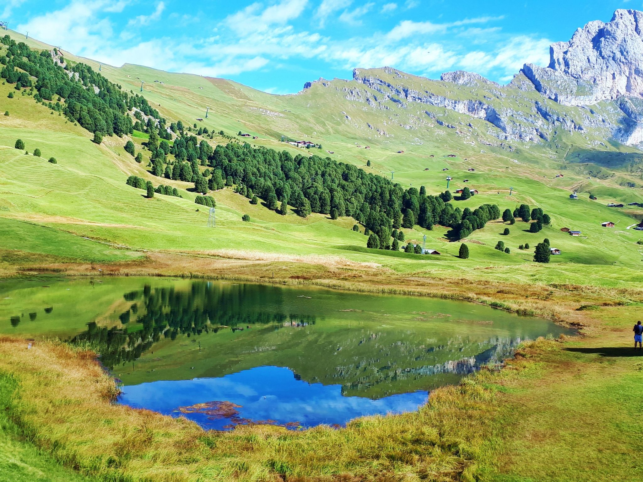 Cesa Vedla DOLOMITES-Binnen