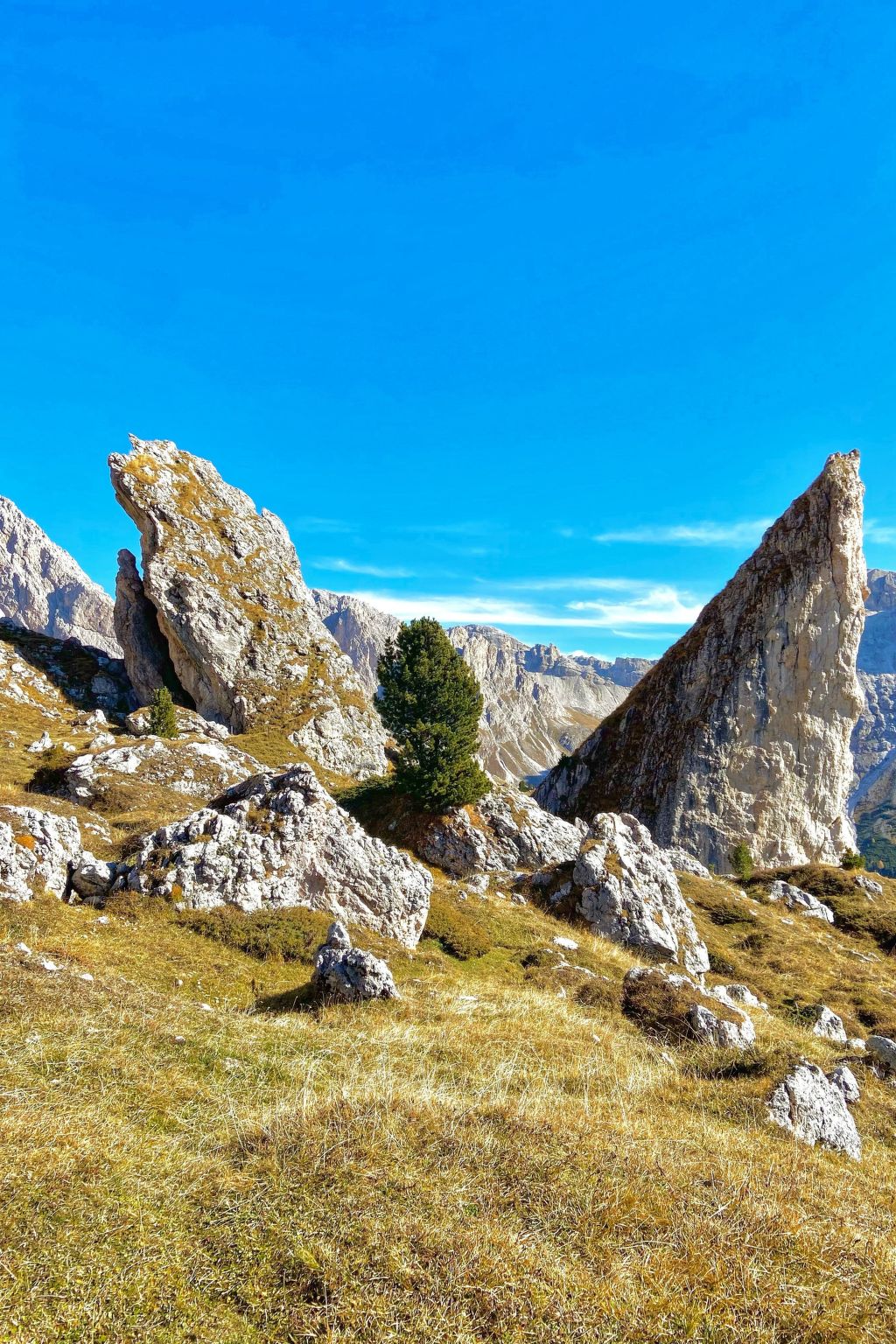 Cesa Vedla DOLOMITES-Binnen