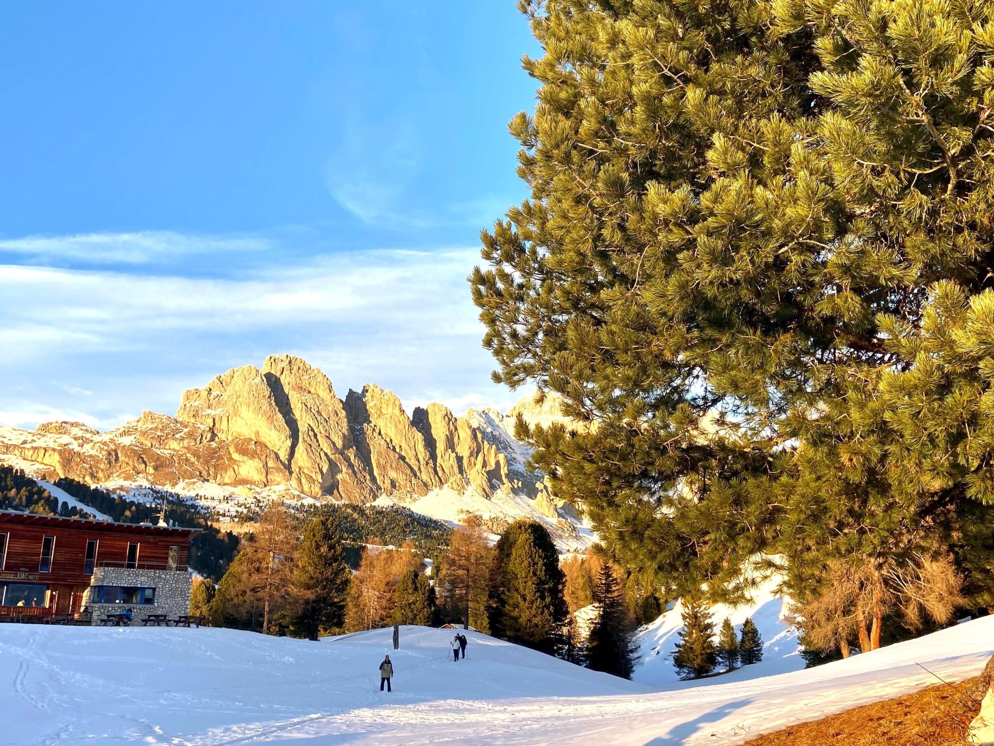 Cesa Vedla DOLOMITES-Binnen