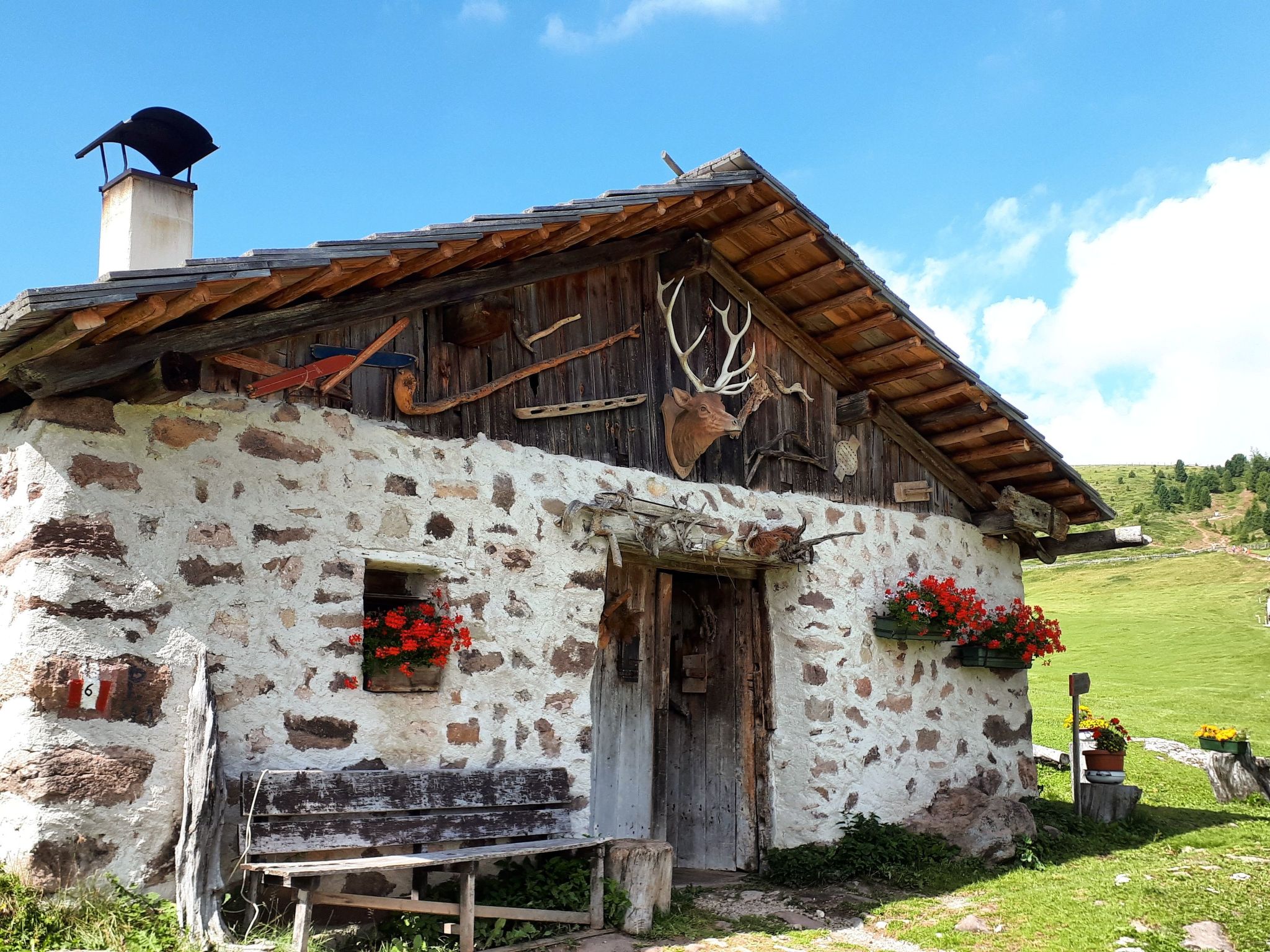 Cesa Vedla DOLOMITES-Binnen