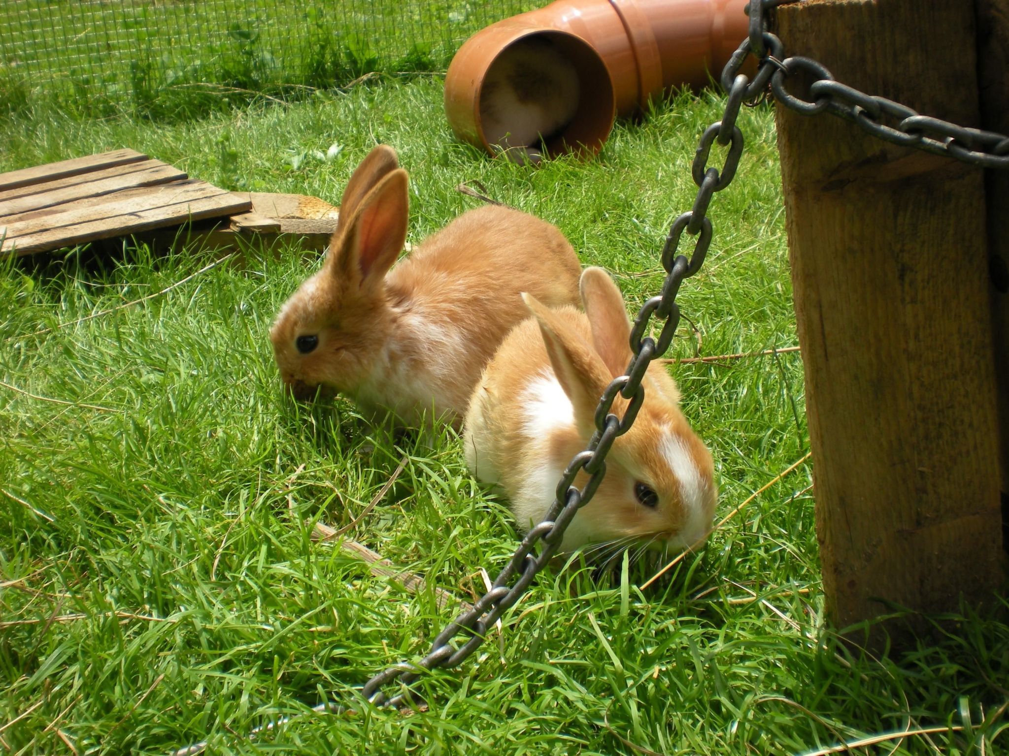 Mit privatem Balkon-Dedans