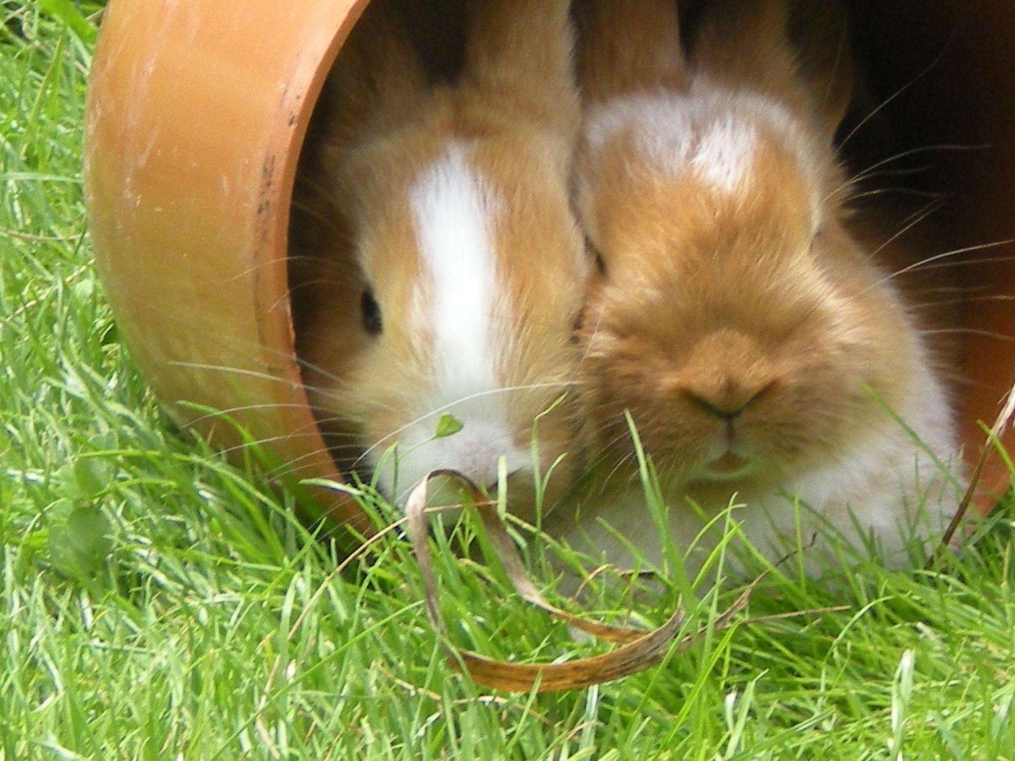 Mit privatem Balkon-Dedans