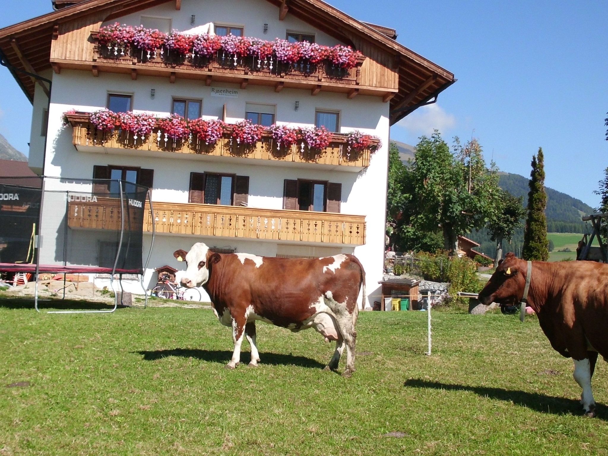 Rosenheim Appartement 2-Binnen