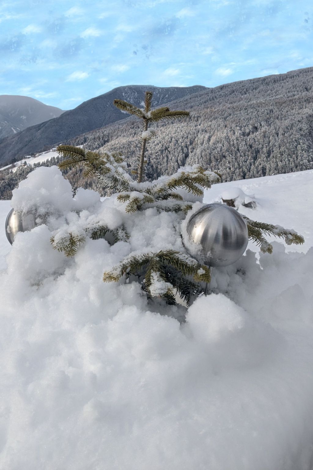 App. Haselstaude-Binnen
