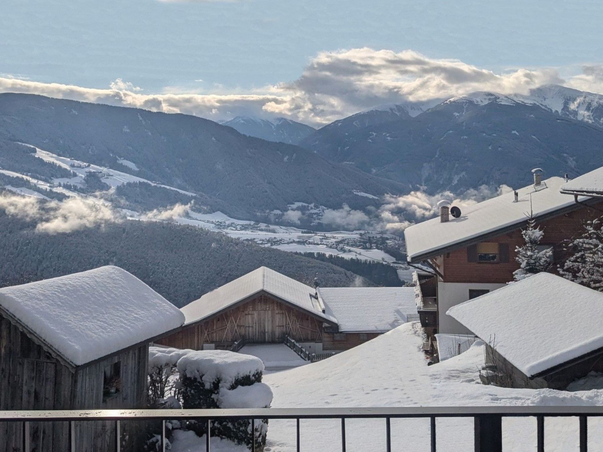 App. Haselstaude-Binnen