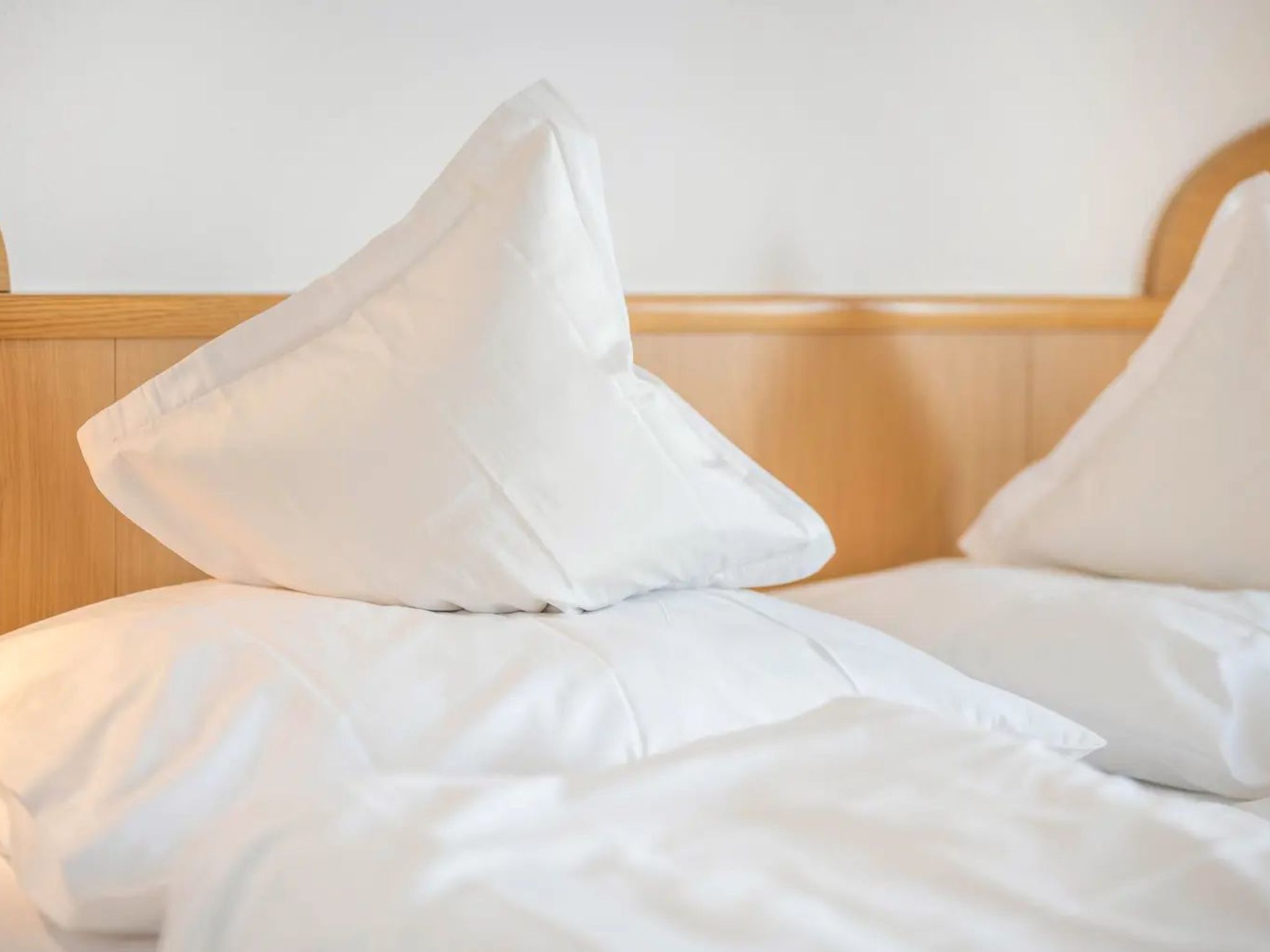 App. Haselstaude-Binnen