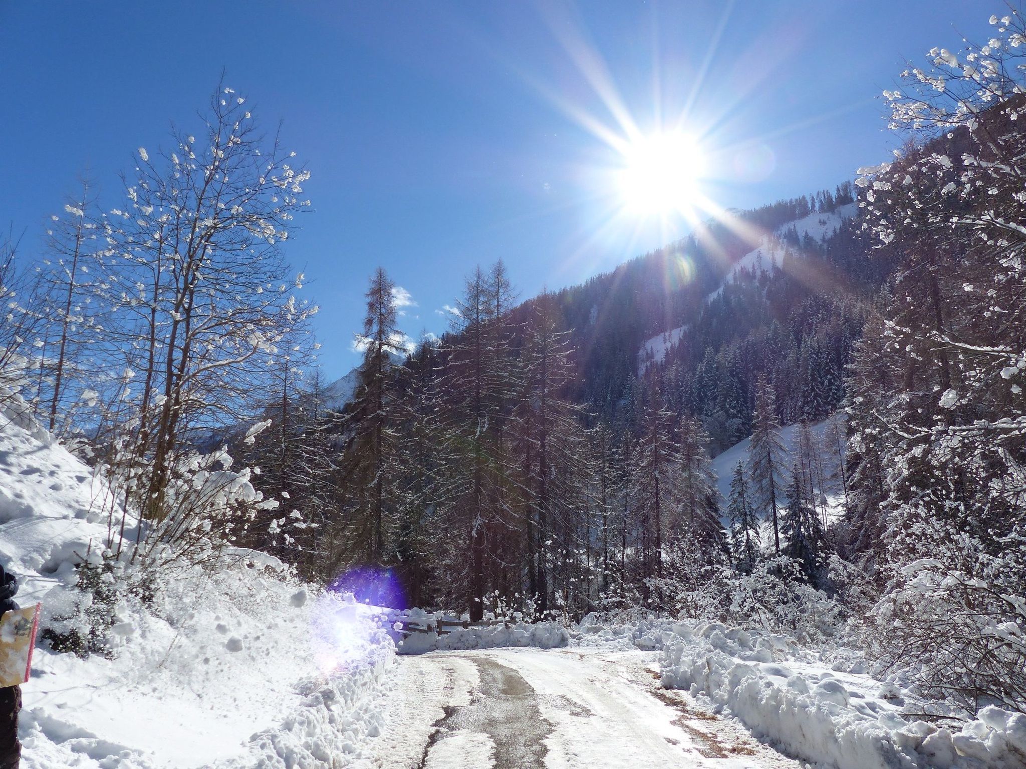 Bauernwohnung-Dedans