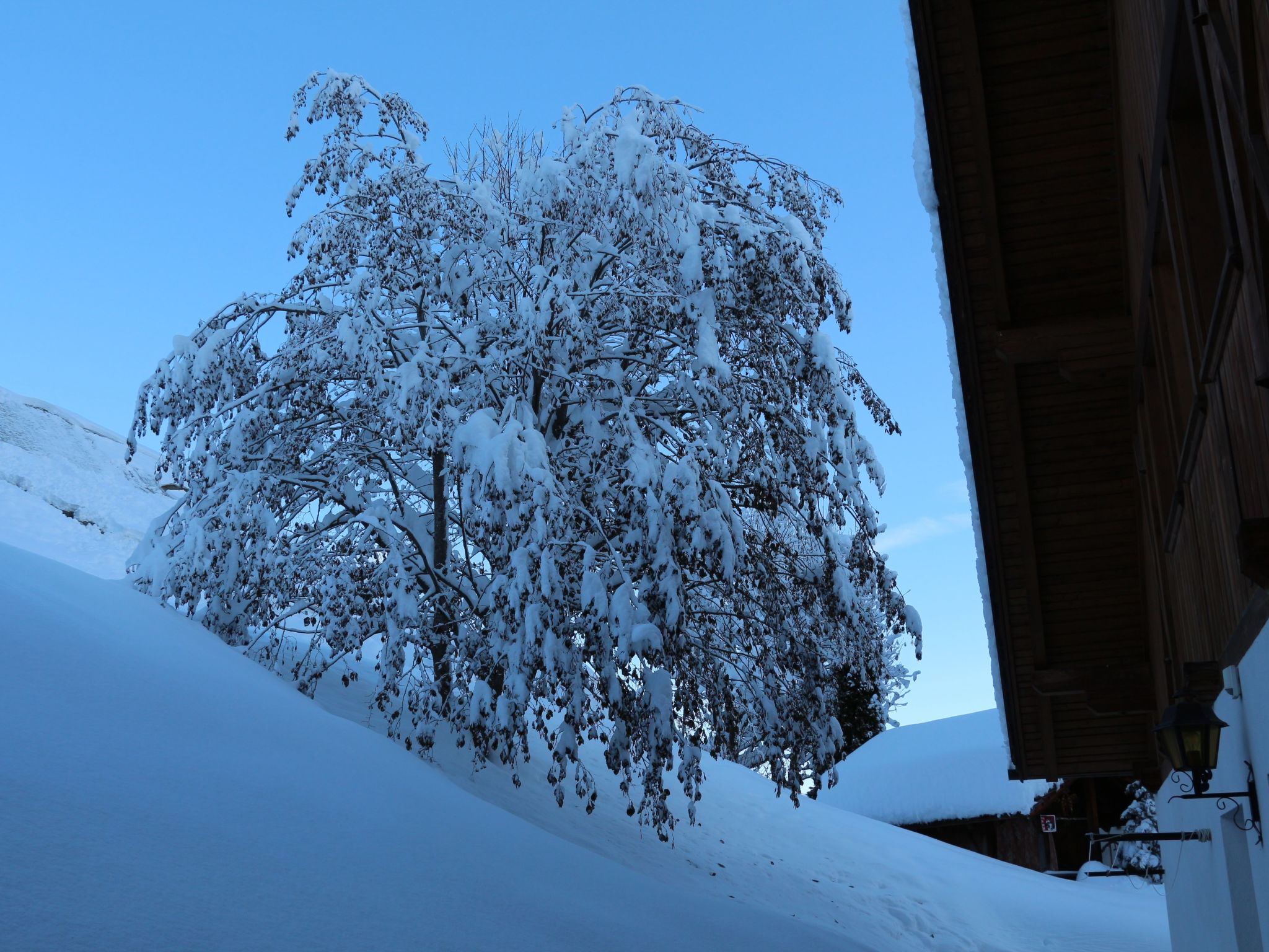 Photo of "Ciasa Linda App.3