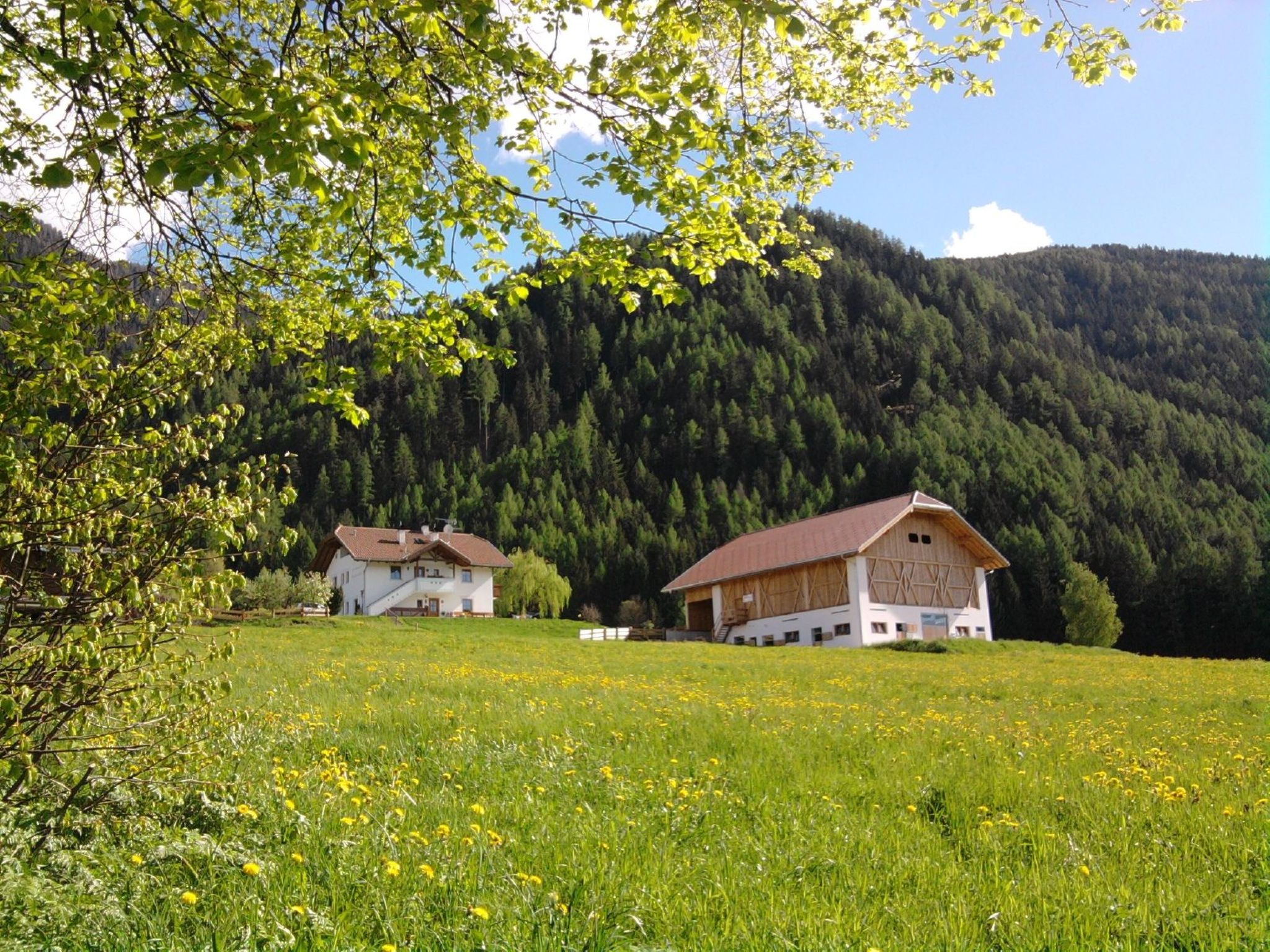 Gemütliche Ferienwohnung für zwei Personen — view 1 of 11