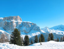 Ferienwohnung Des Alpes