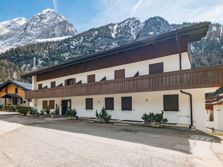 Photo of Penia 2