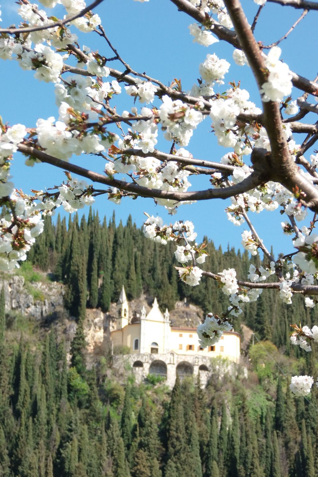 Photo of Anwesen mit Garten, Grill und Terrasse