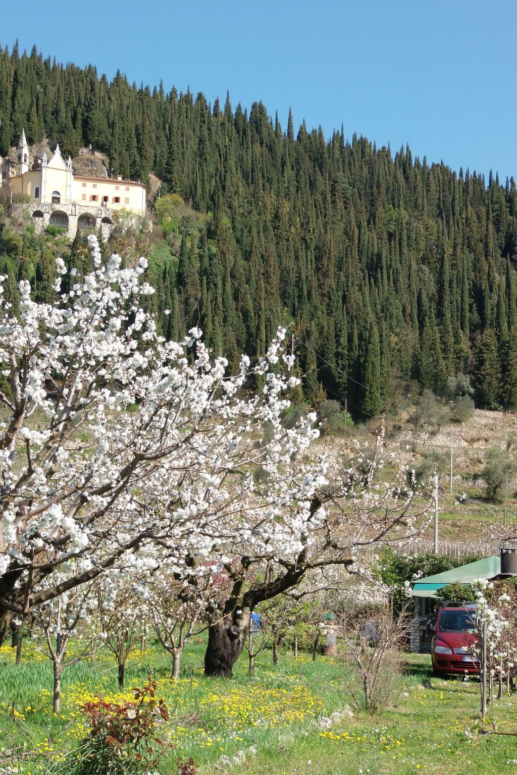 Photo of Anwesen mit Garten, Grill und Terrasse