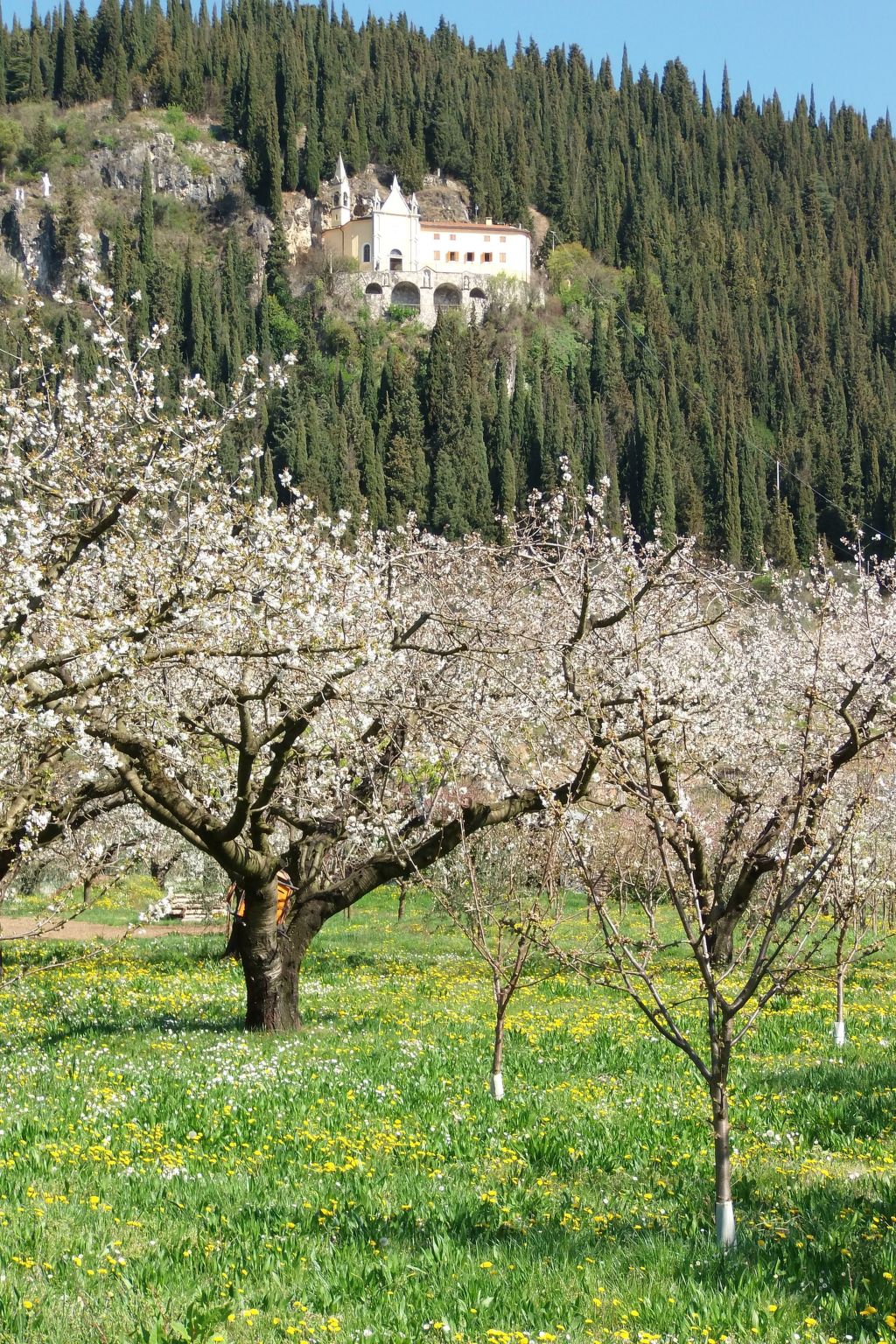 Photo of Anwesen mit Garten, Grill und Terrasse
