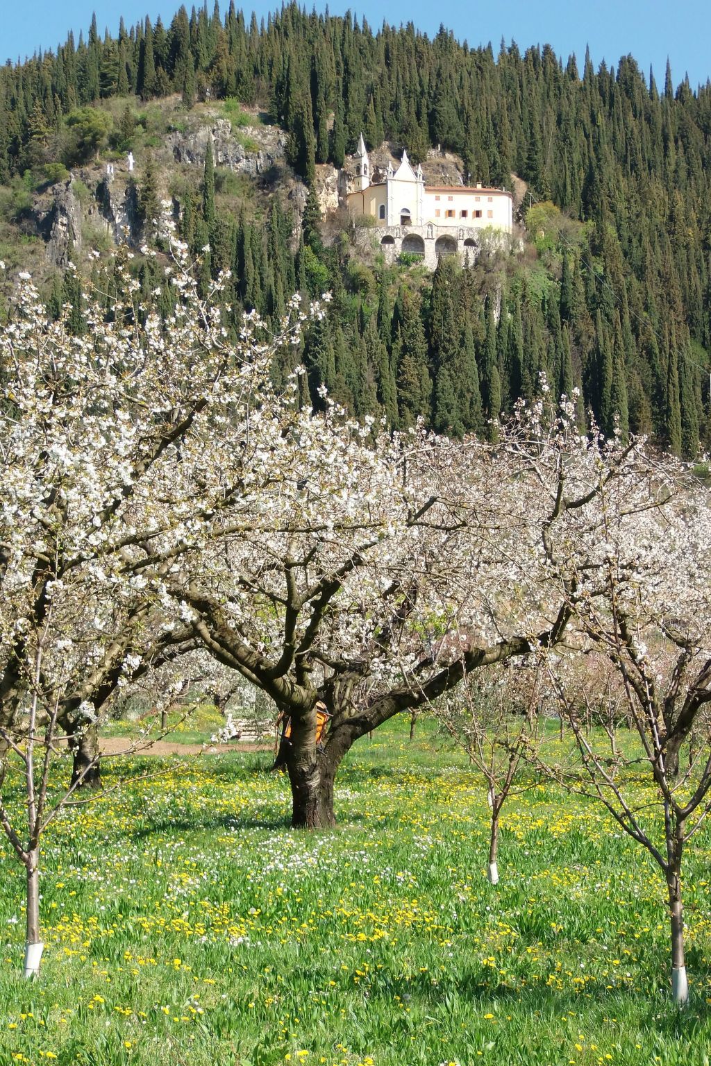Photo of Anwesen mit Garten, Grill und Terrasse