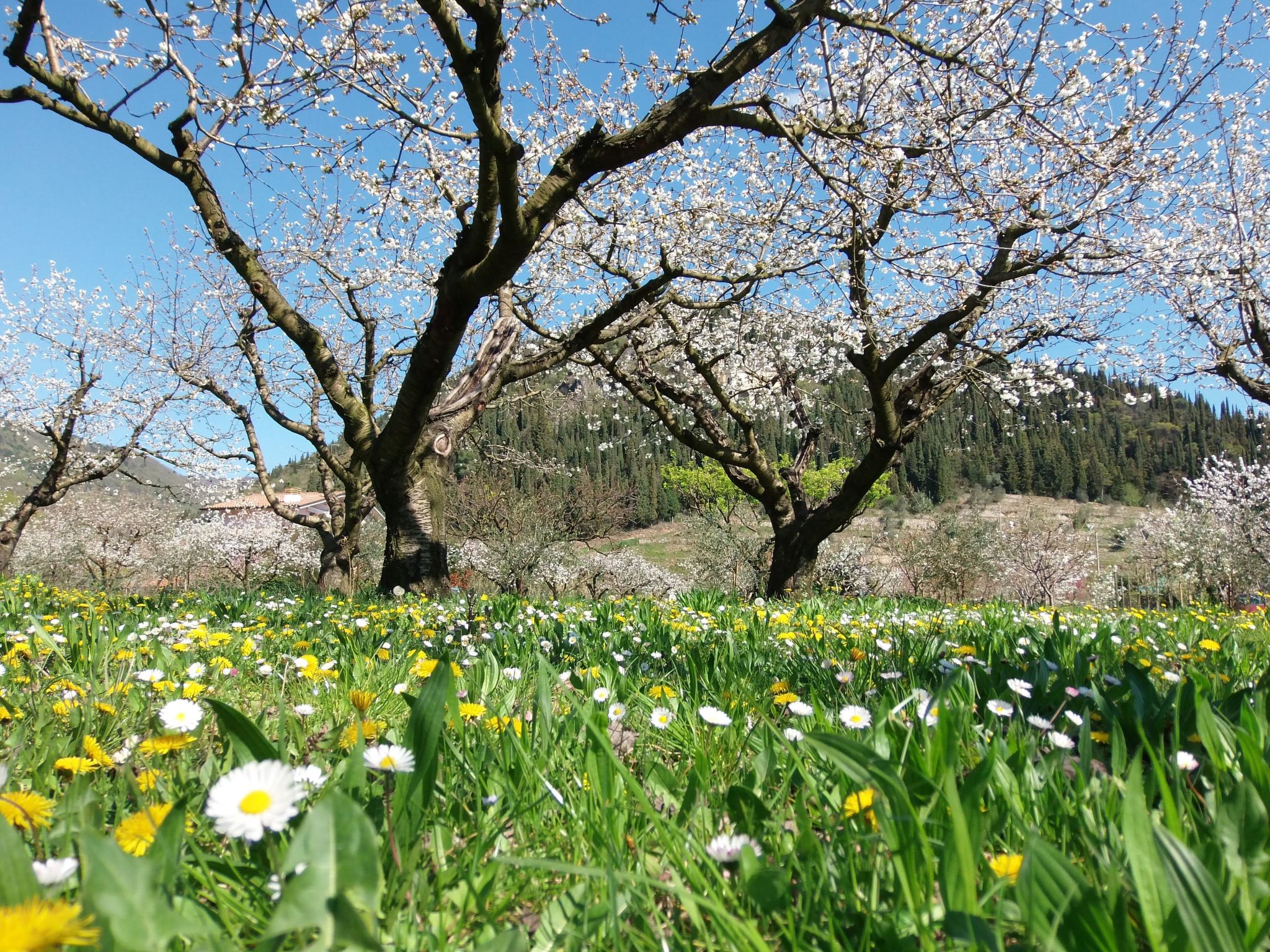 Photo of Anwesen mit Garten, Grill und Terrasse