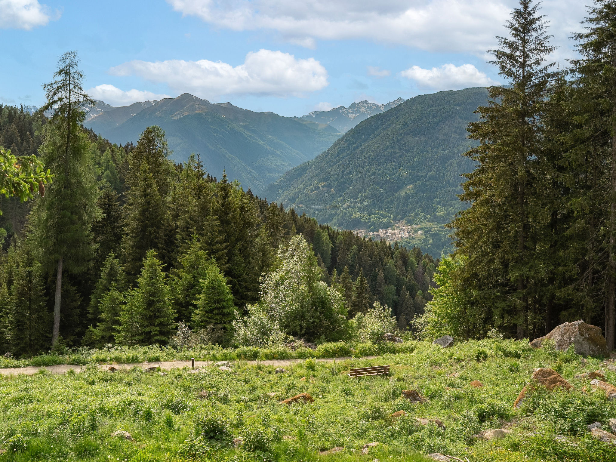 Photo of Artuik 448