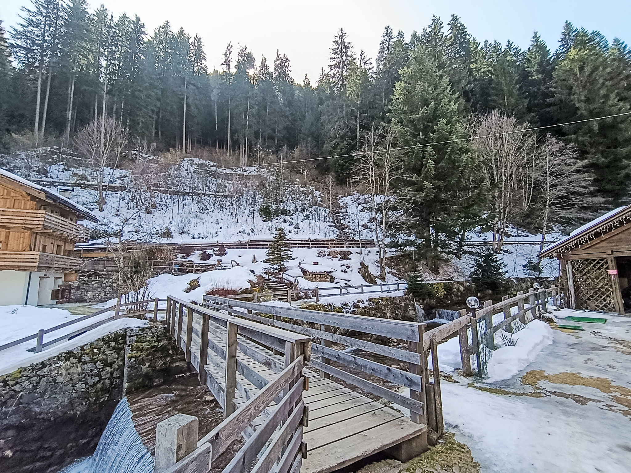 Photo of Abete e Betulla