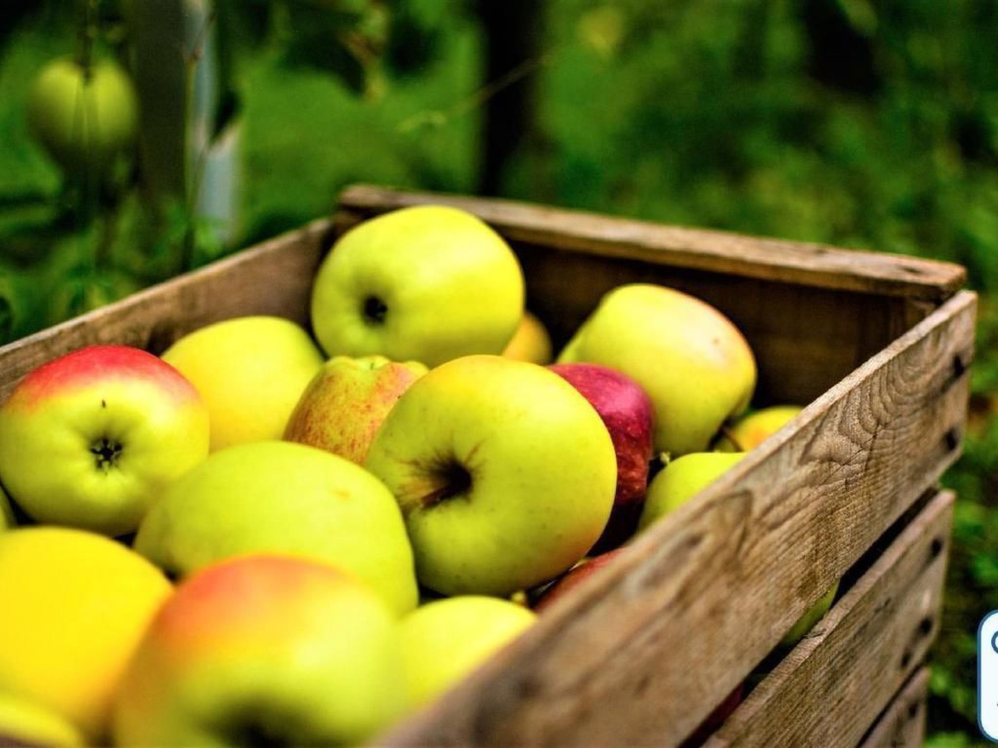 'Antico Eremo'-Binnen