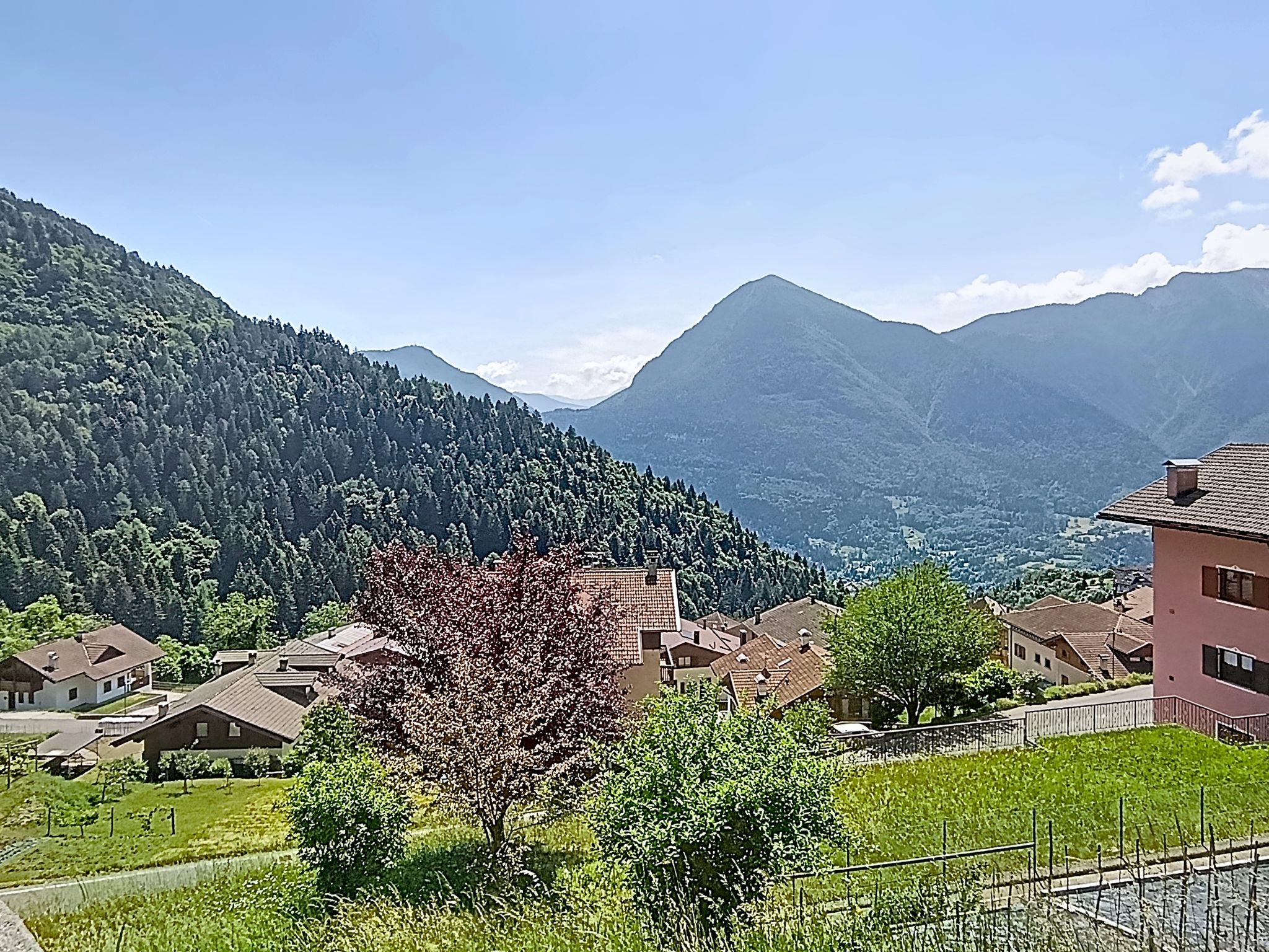 Festér - Omgeving