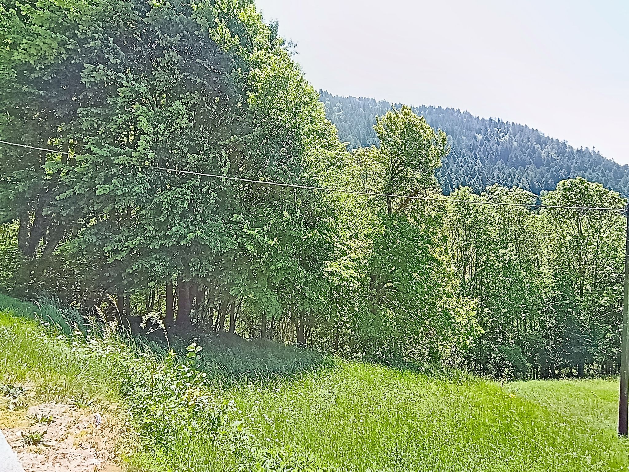 Festér - Omgeving