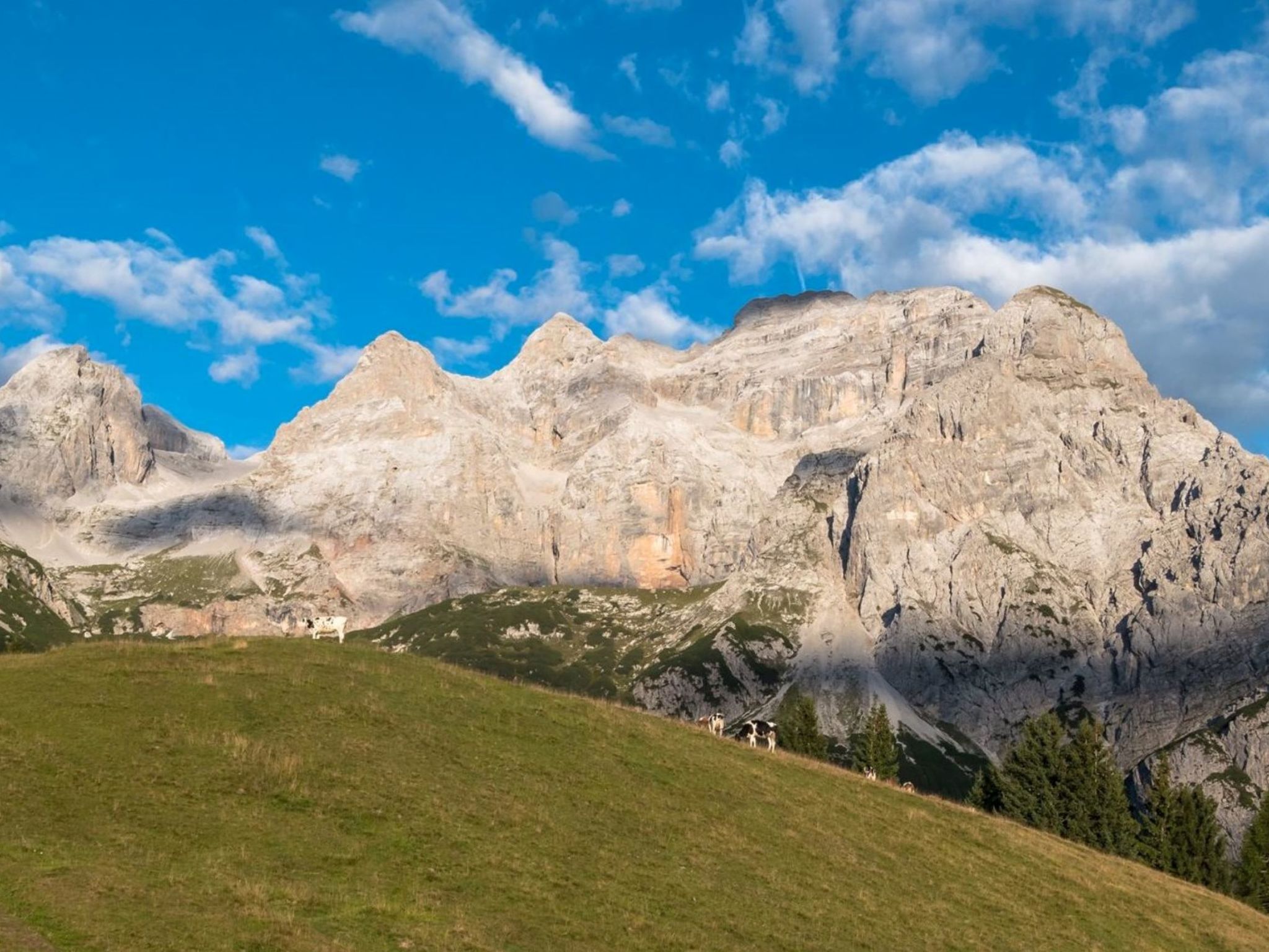 Serafini-Area
