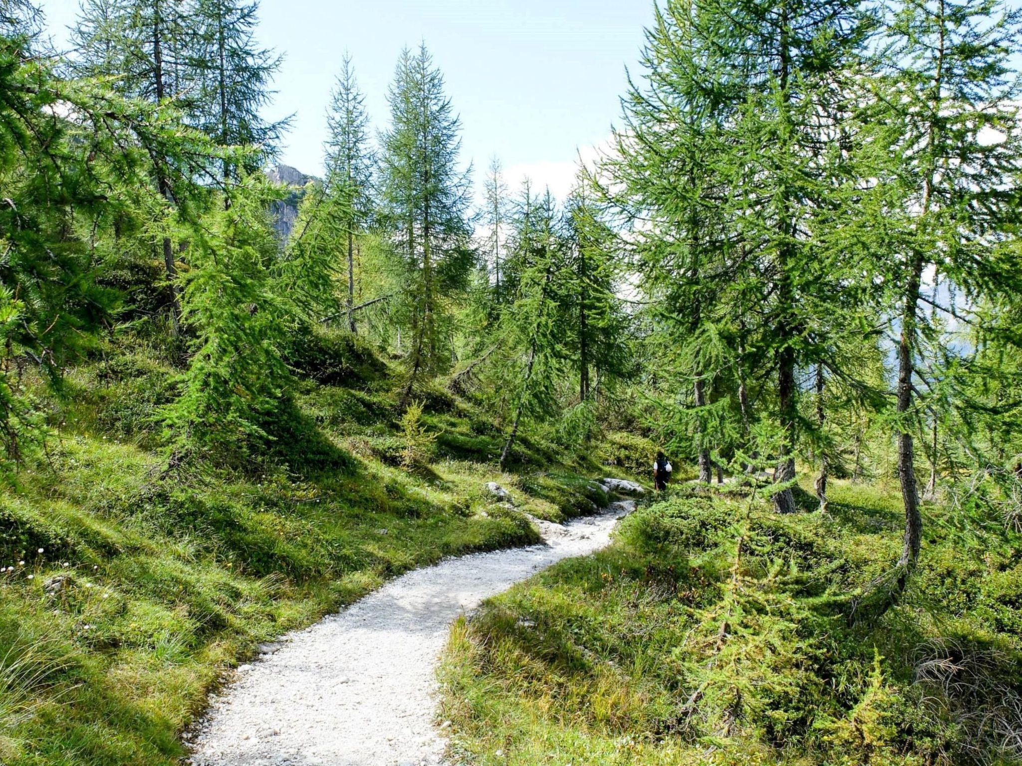 Serafini-Omgeving