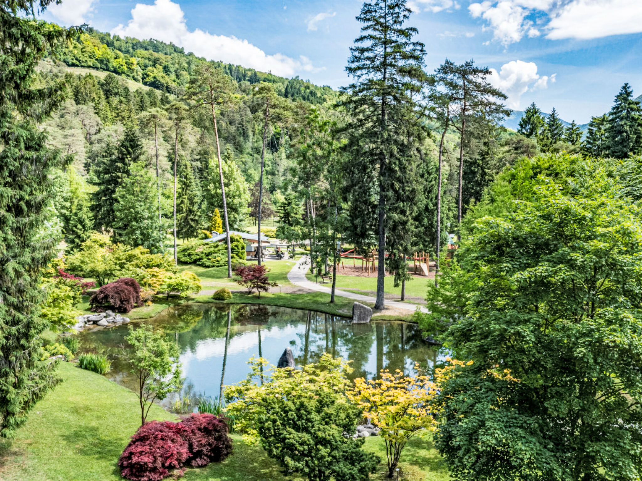 Picchio Primavera-Area
