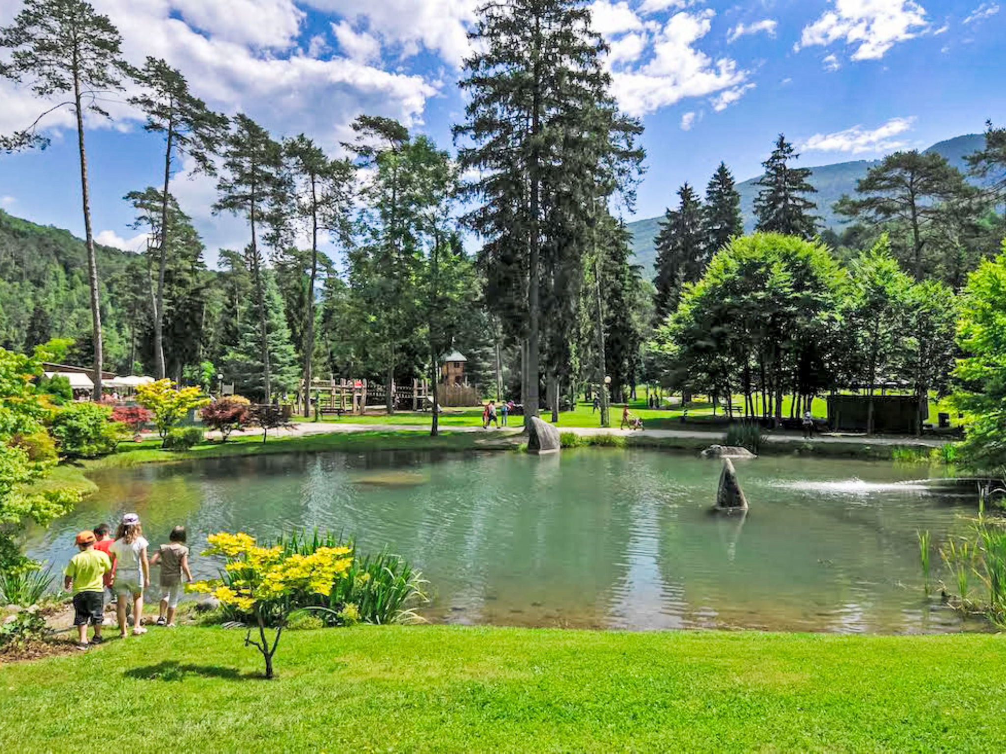 Picchio Primavera-Area