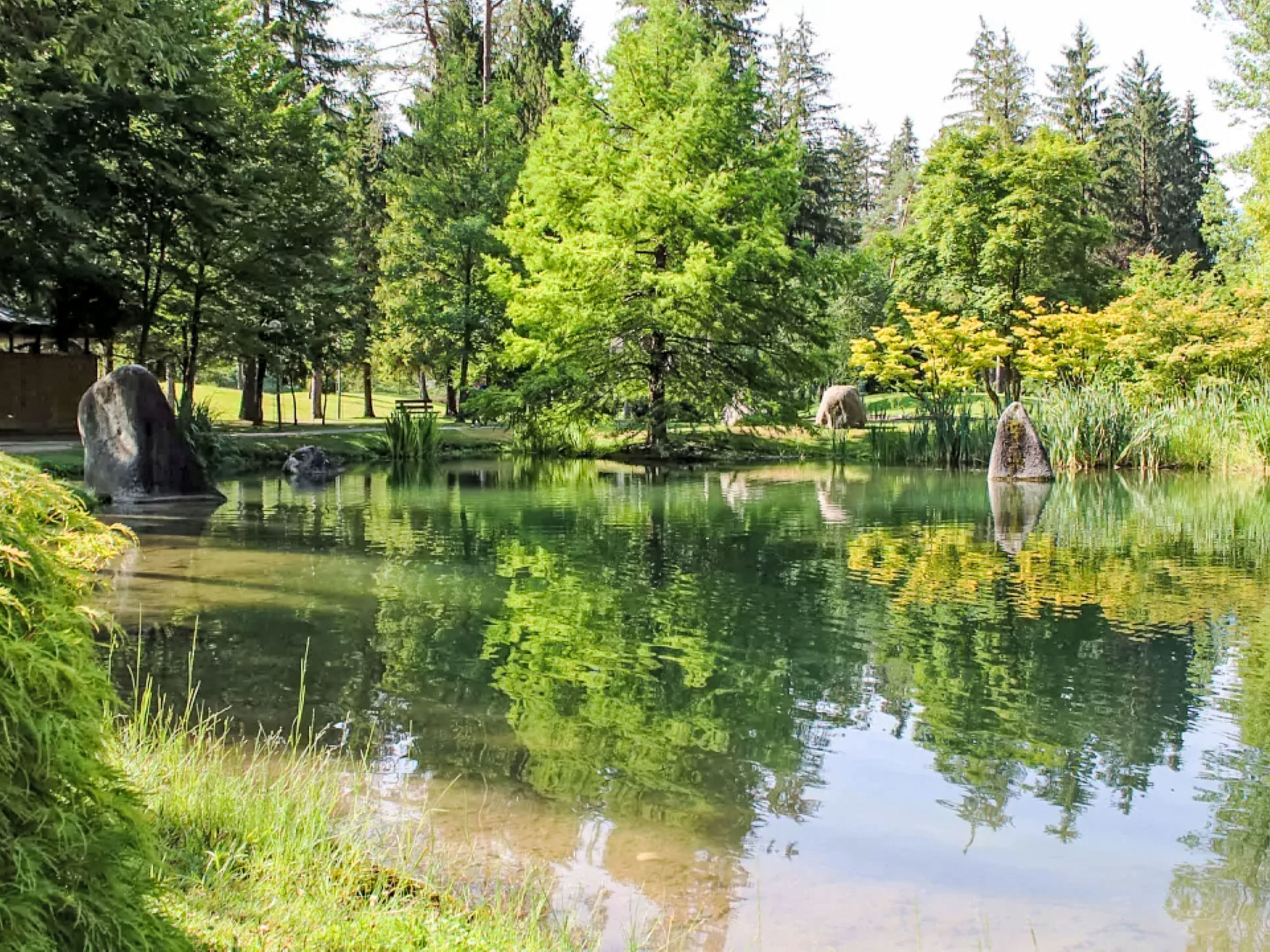 Picchio Primavera-Area