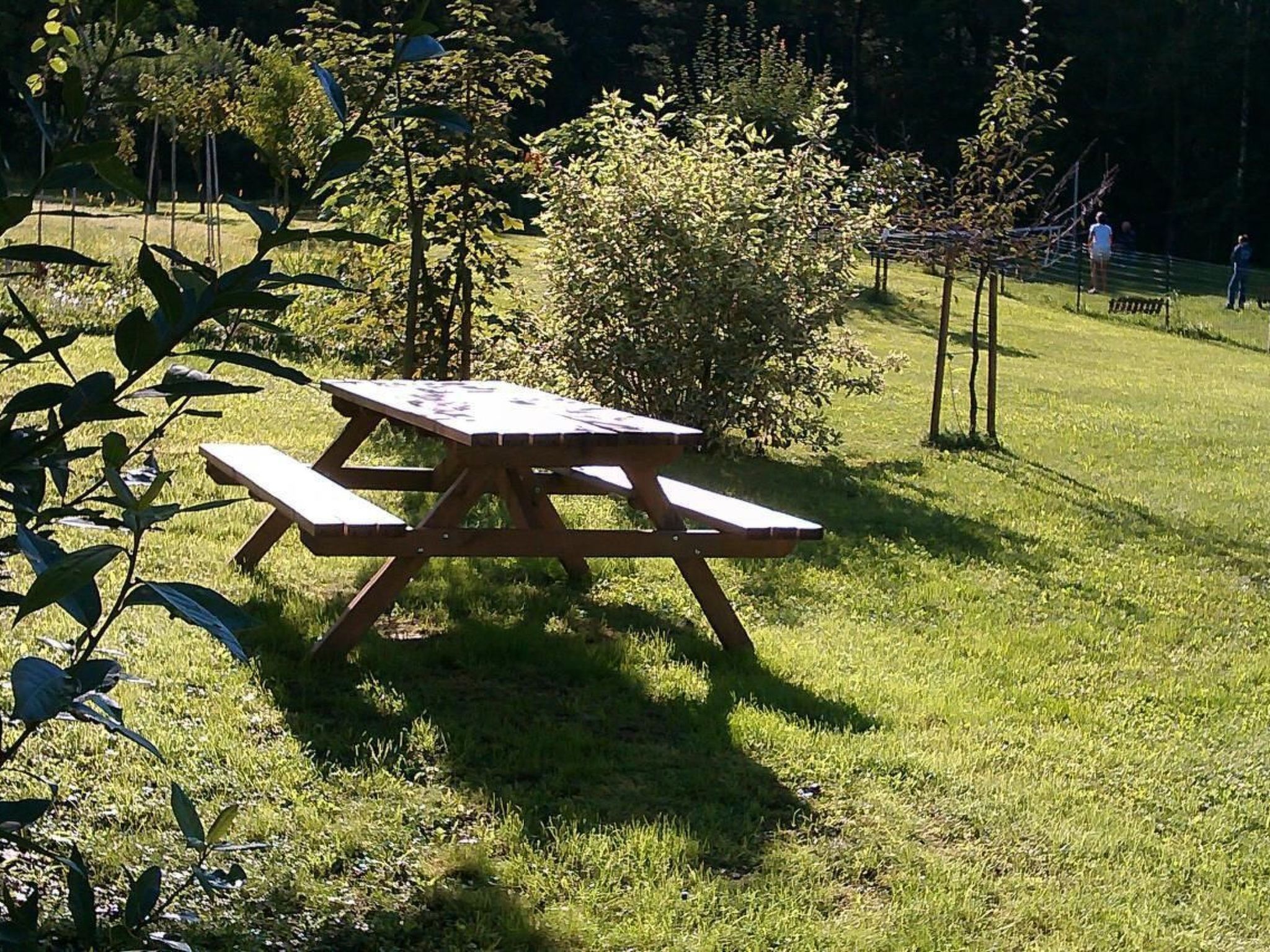 'Irma'-Image-tags.info