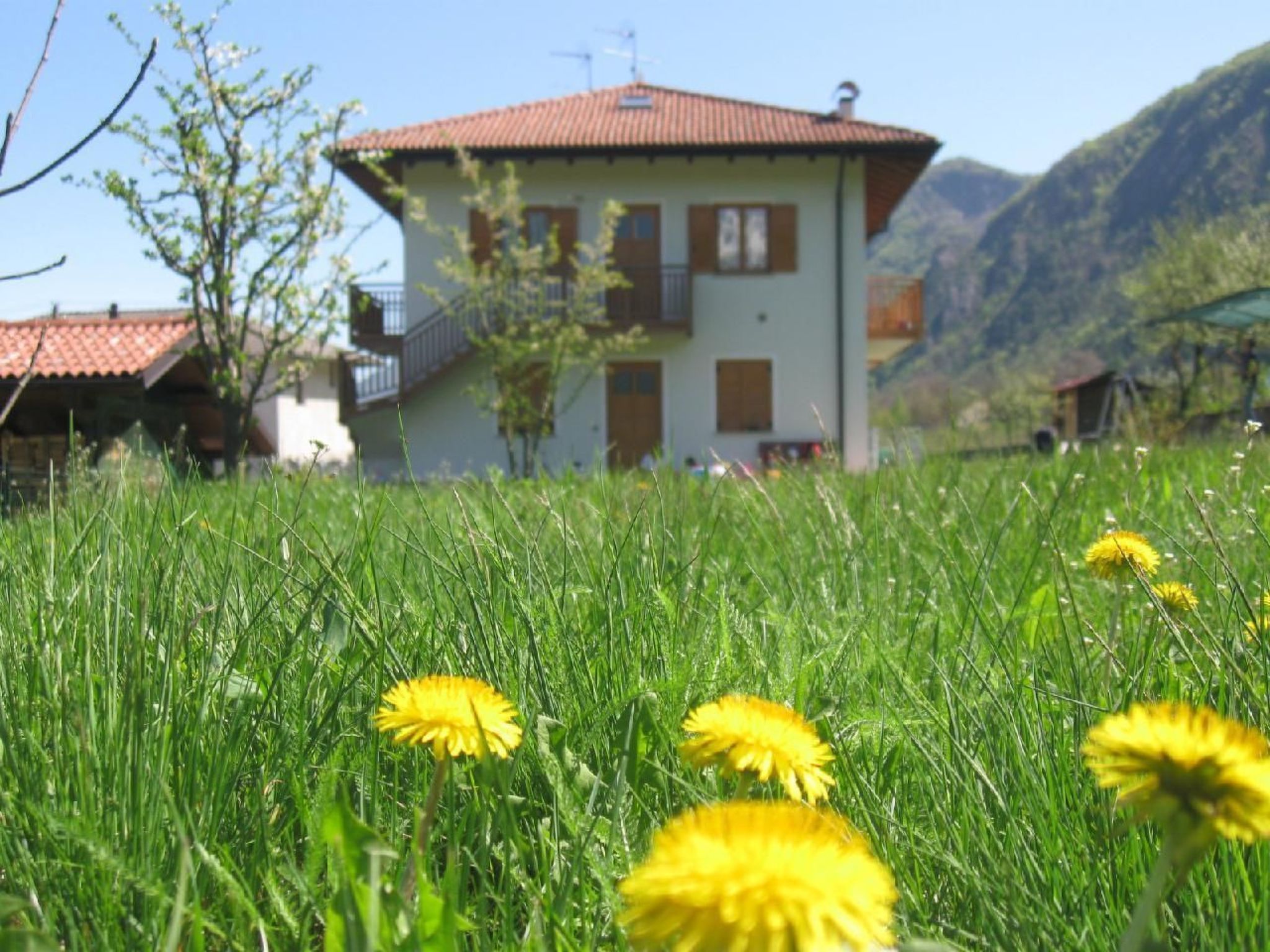 'Irma'-Image-tags.info