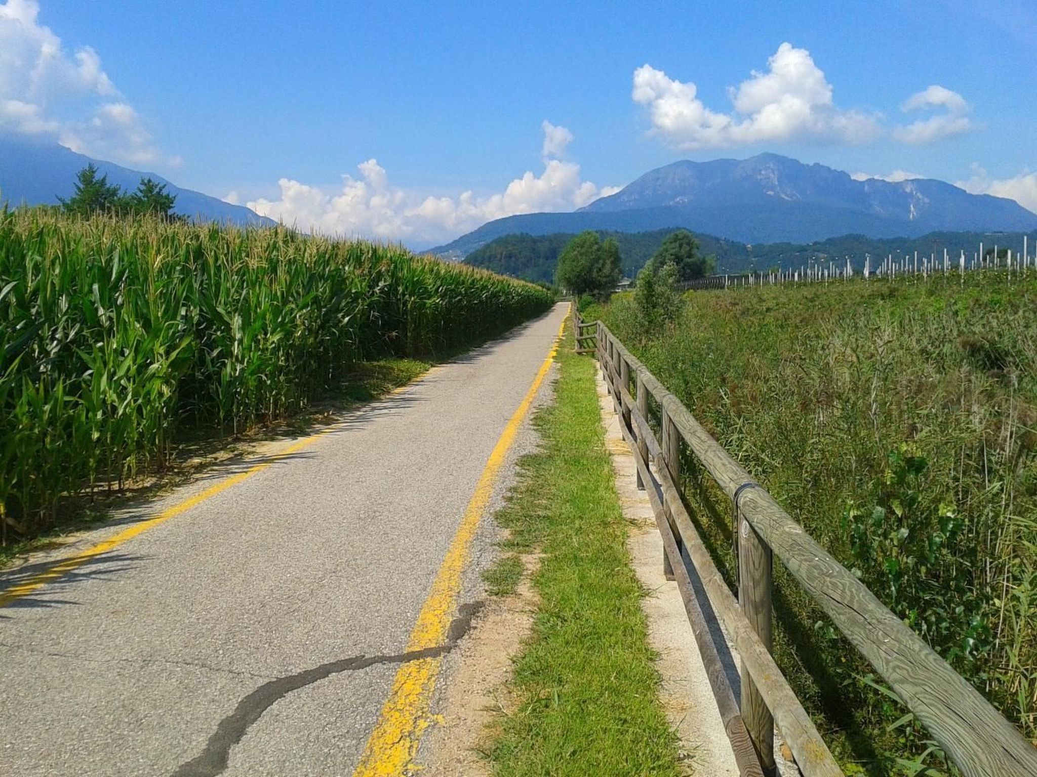 'Irma'-Image-tags.info