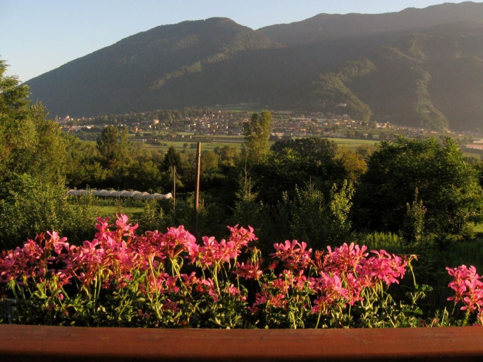 'Irma'-Image-tags.info