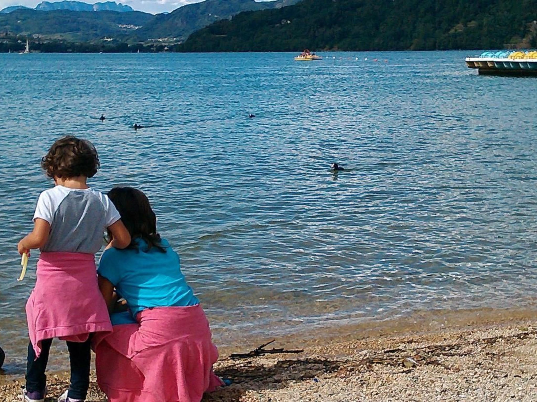 'Irma'-Image-tags.info