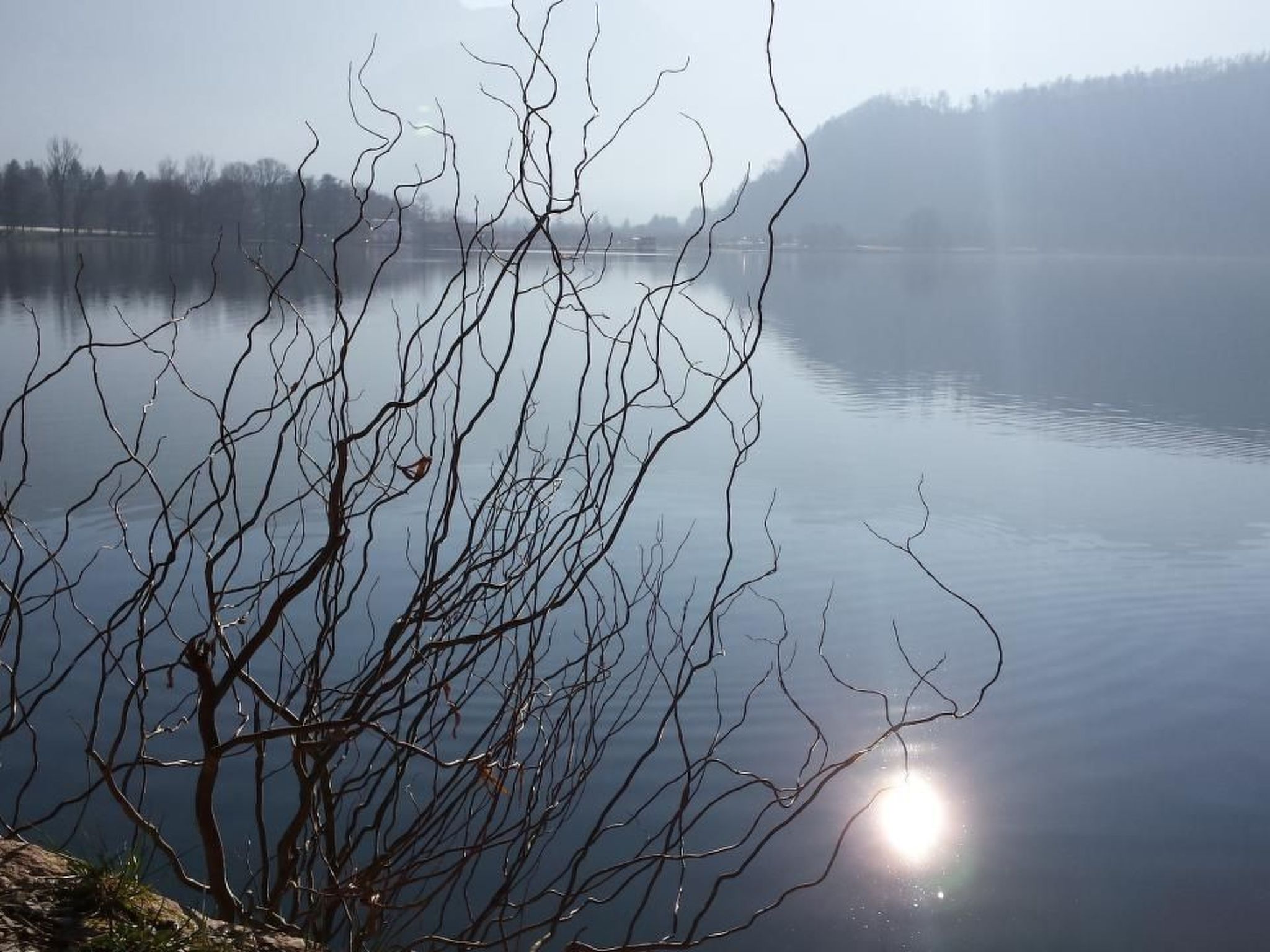 'Irma'-Image-tags.info