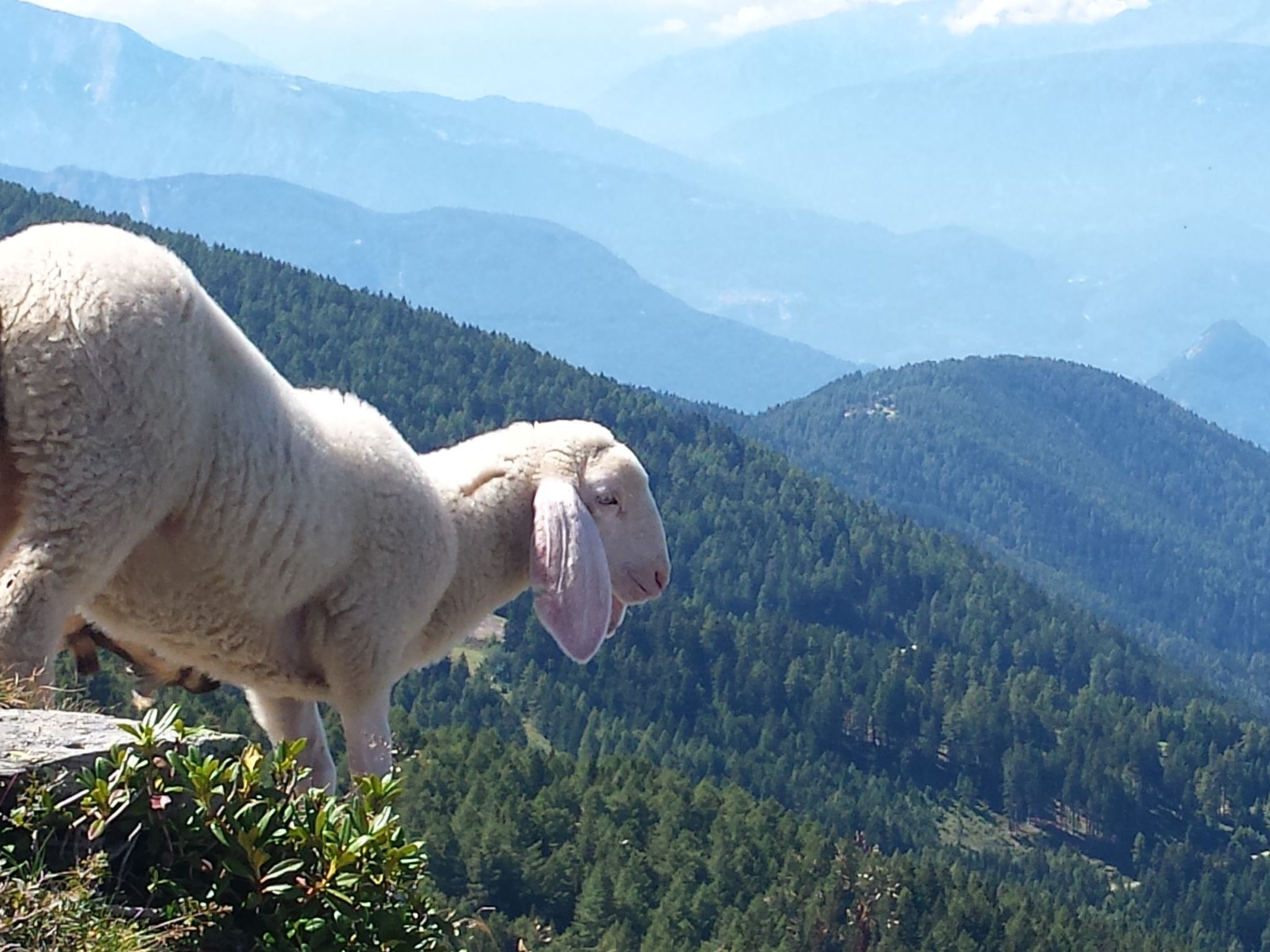 Wohnung in Levico Terme mit Privatparkplatz-Dedans