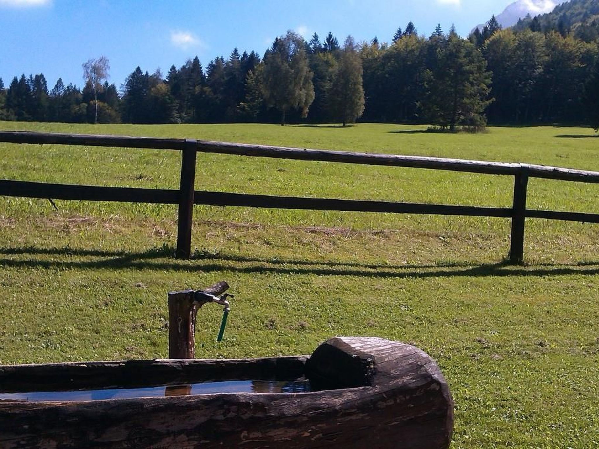 Wohnung in Levico Terme mit Privatparkplatz-Dedans