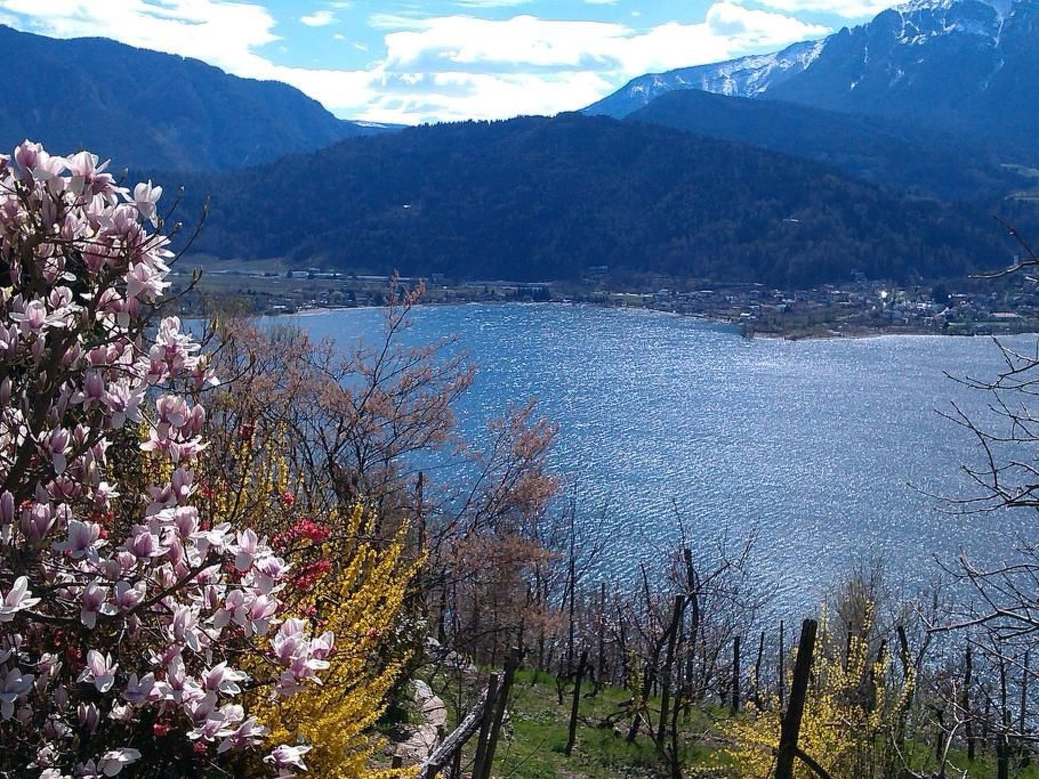 Wohnung in Levico Terme mit Privatparkplatz-Dedans