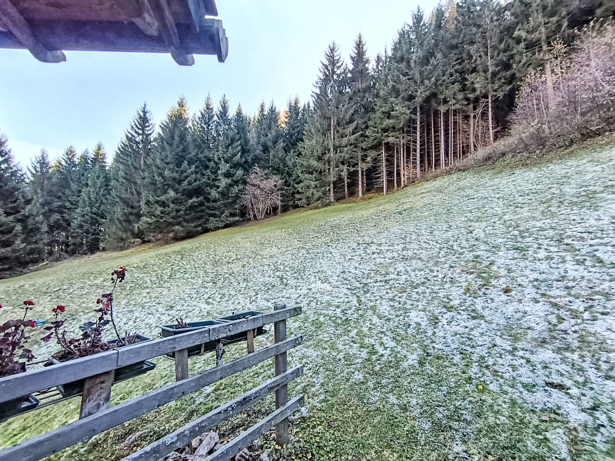 Maset Pozzati-Draußen