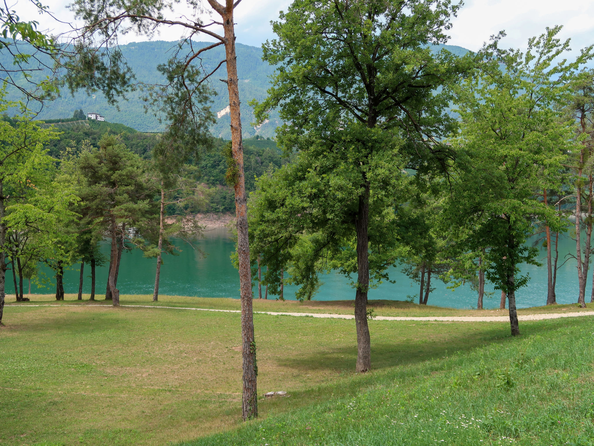 Larice Quadrilocale-Area