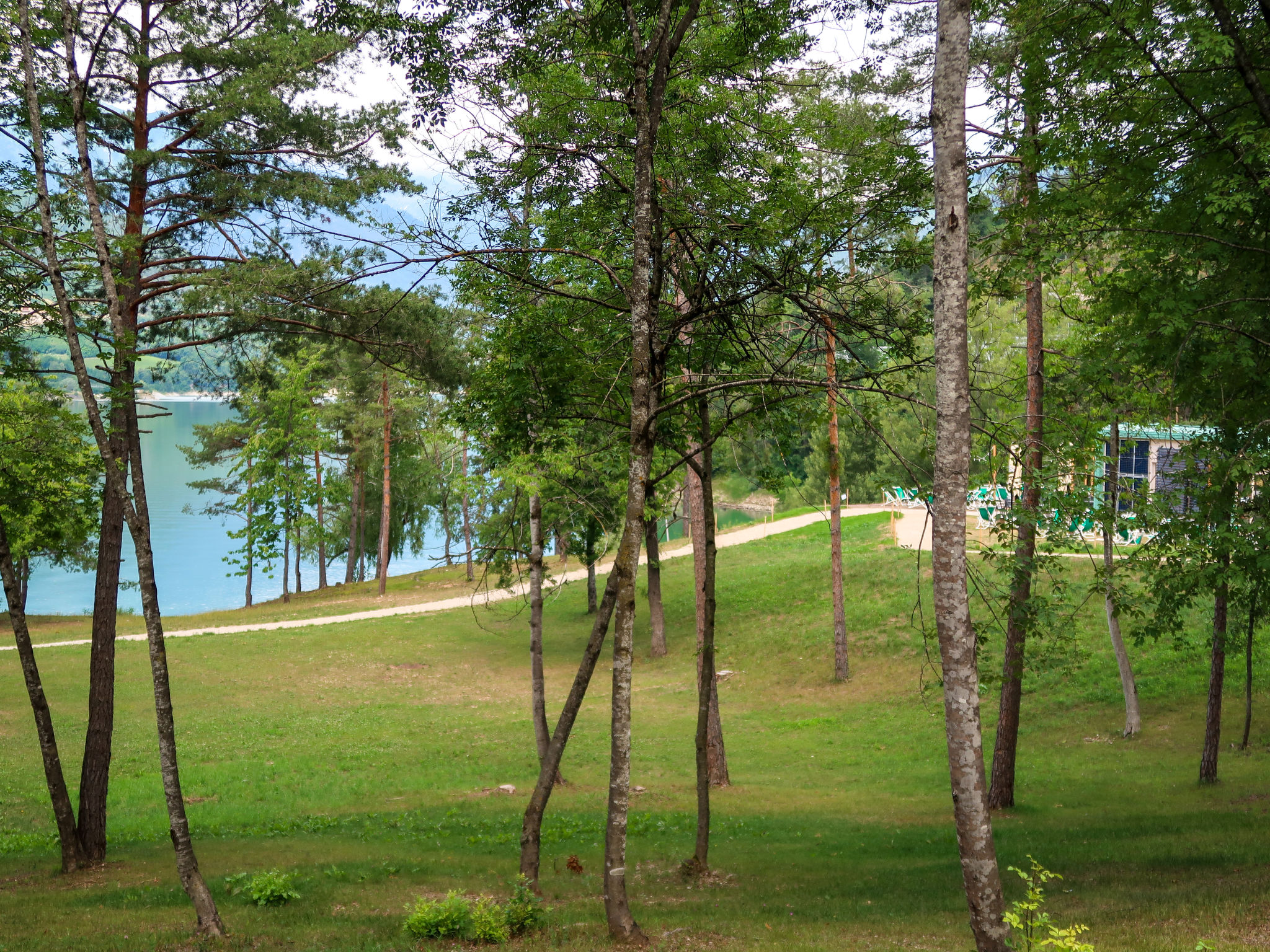 Larice Quadrilocale-Area