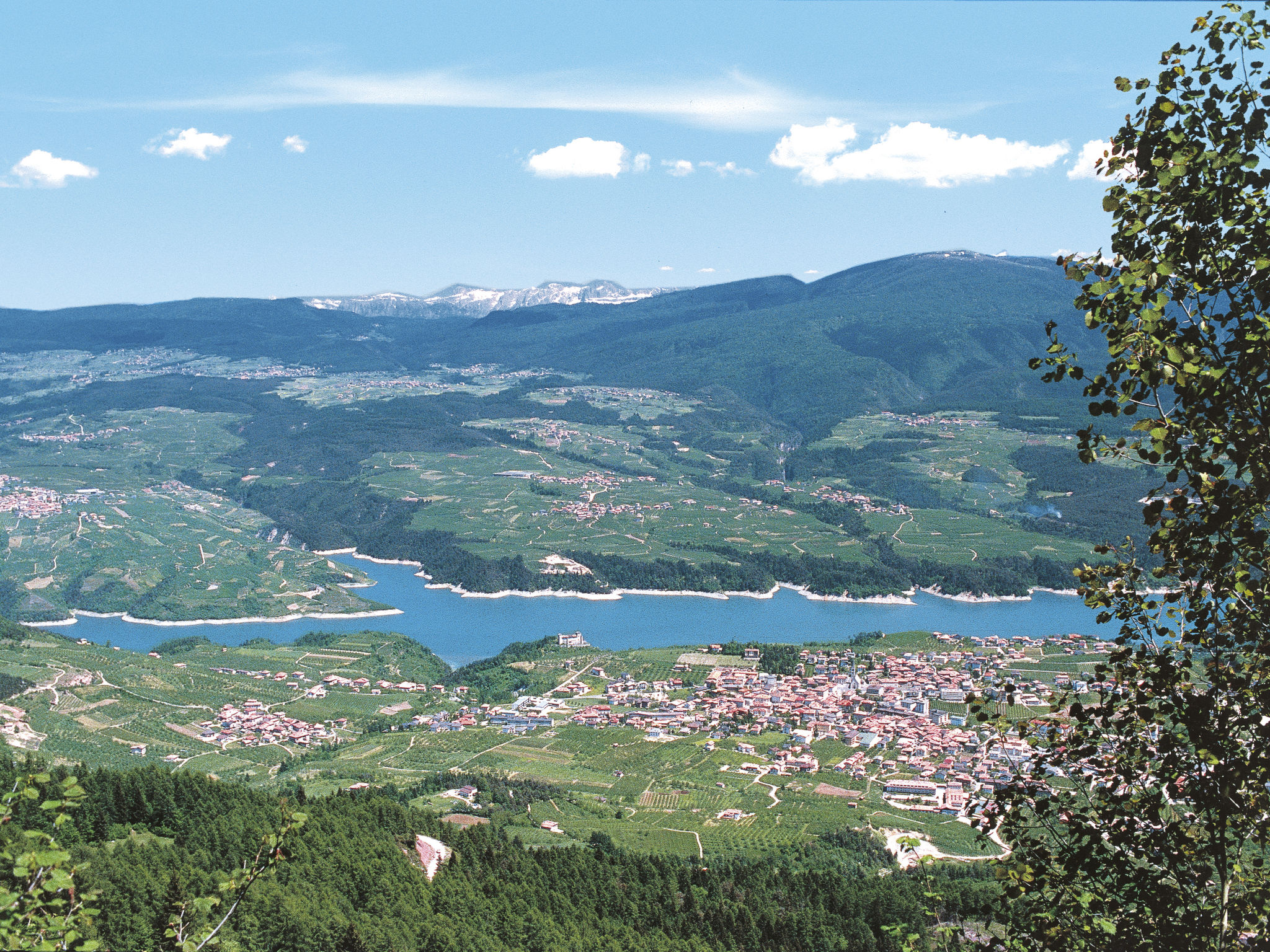 Larice Bilocale-Area
