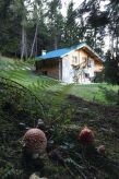 mit Sauna in Pieve Di Bono