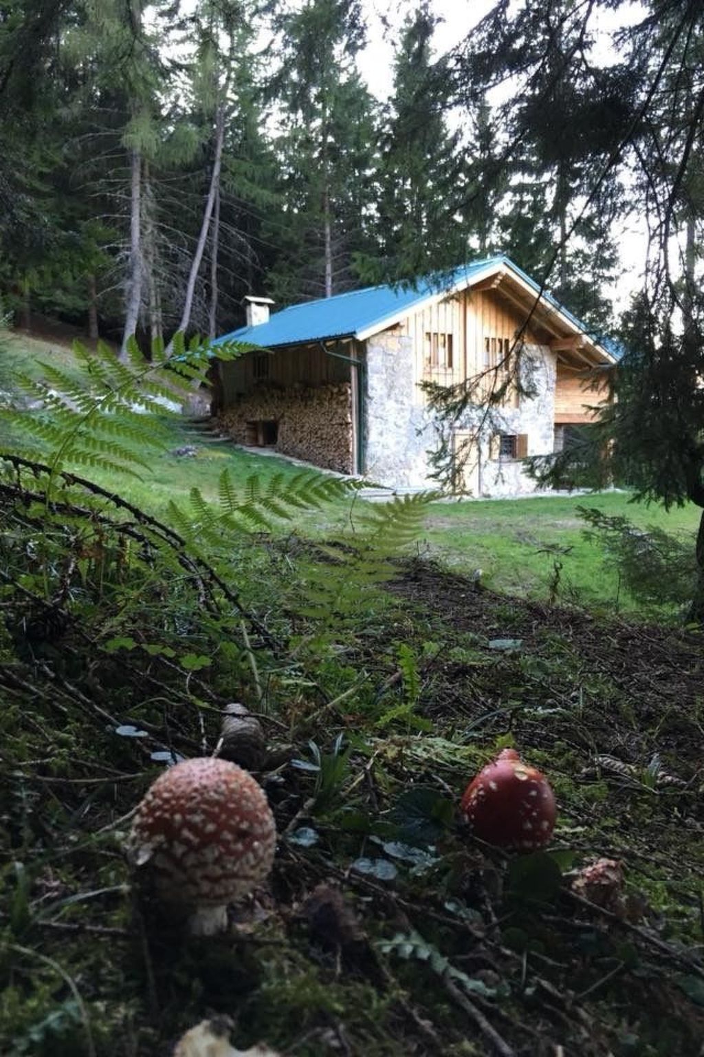 Vakantiehuis in Pieve di Bono (Italië) 1 hond is welkom