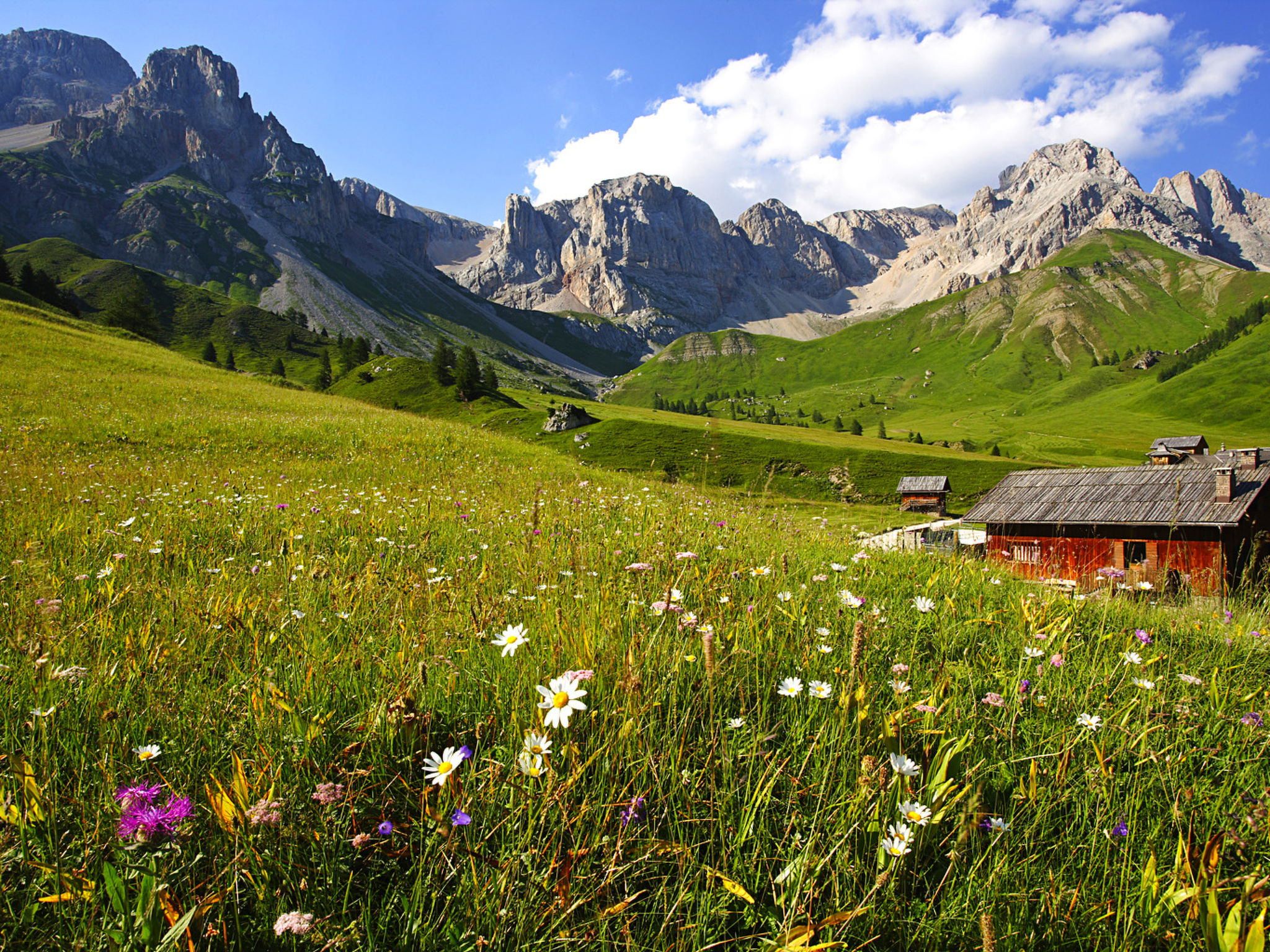 Zonnig appartement voor 6 personen in Soraga di Fassa, nabij de Dolomieten - foto 23
