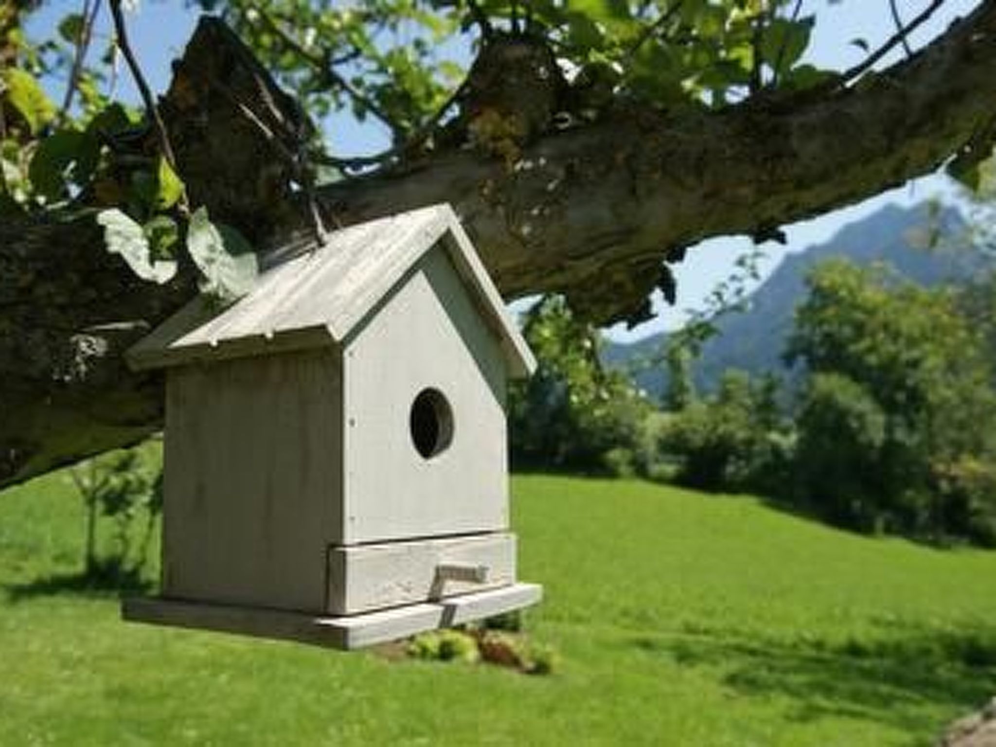 Romantisches Chalet in den Wiesen der Dolomiten-Binnen