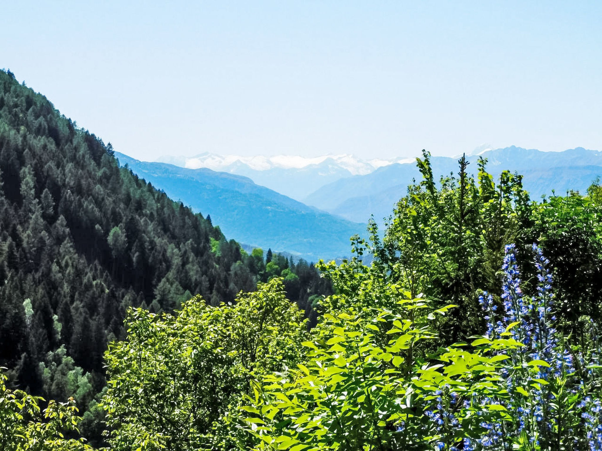 View