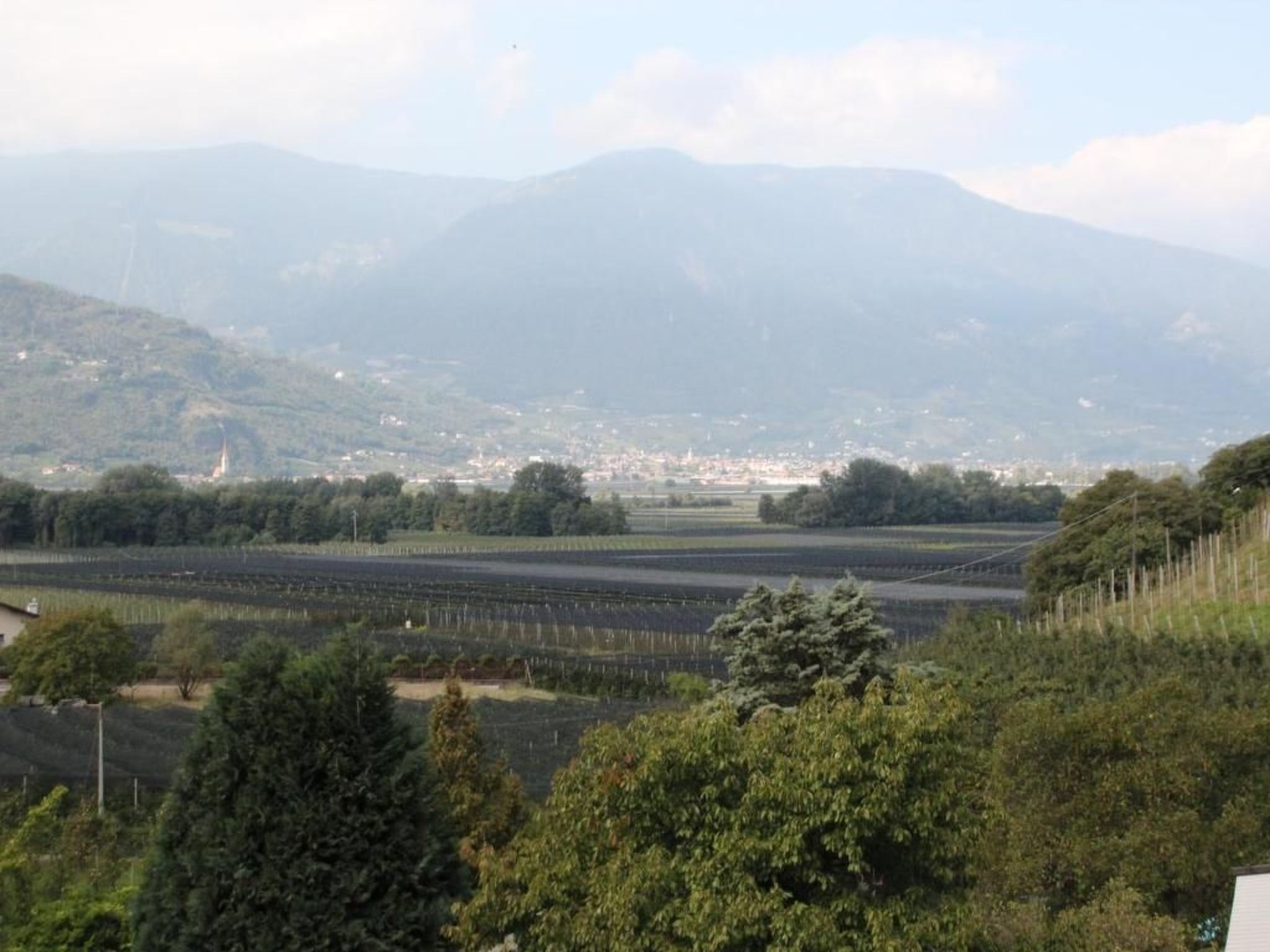 Residence Olivi - Luxury Apartment Penthouse-Binnen